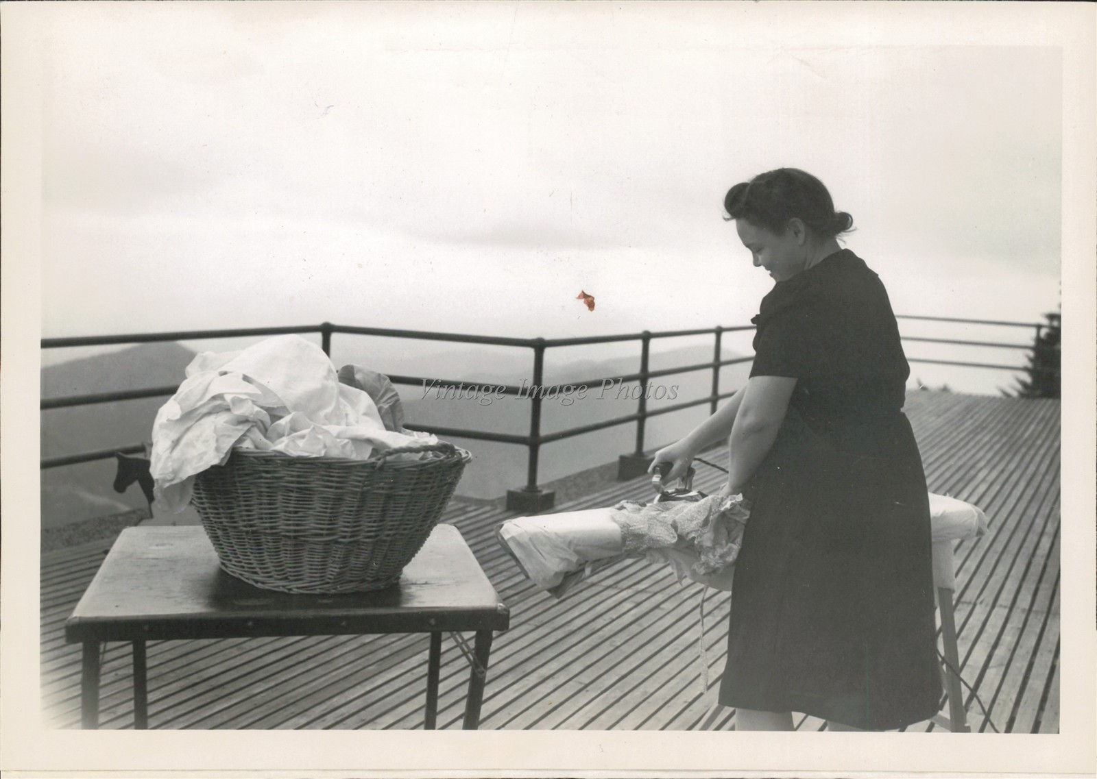 1946 Mrs Paul Dillon Ironing On Clingmans Peak Nc Photo 5X7