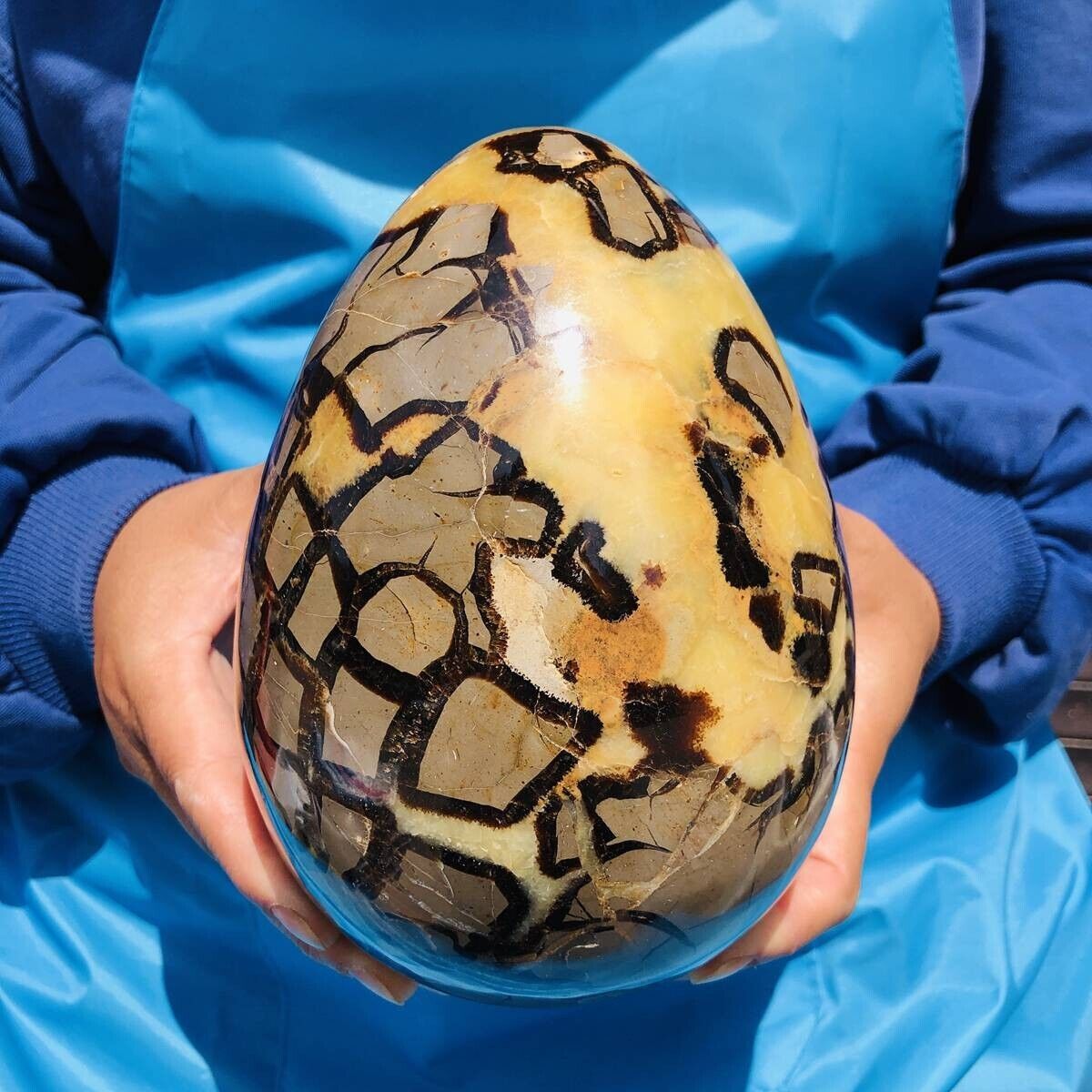 7.83LB Natural Turtle Back Stone Egg Shape Dragon Crystal Crack Gem Reiki 1161