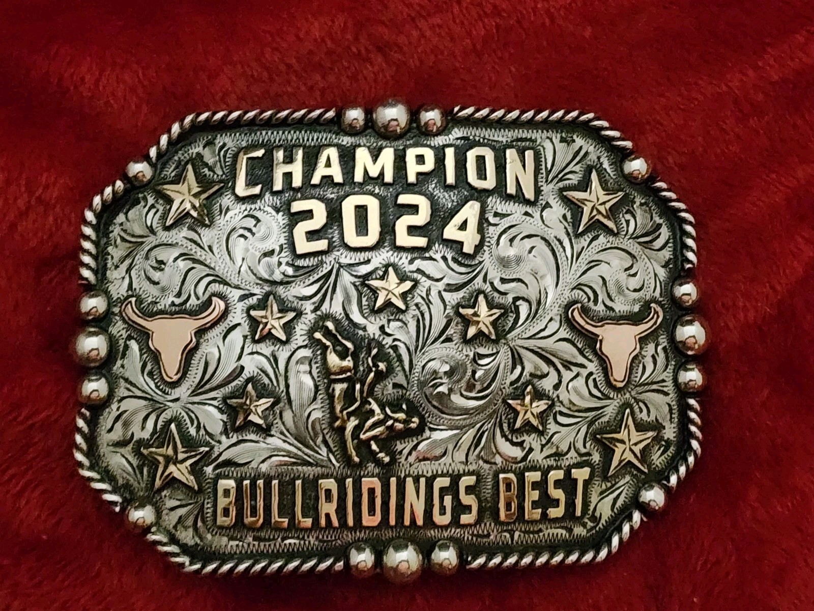 Rodeo 2024 X~Treme Bull Riding~Champion☆Professional☆Trophy Buckle☆Rare☆752