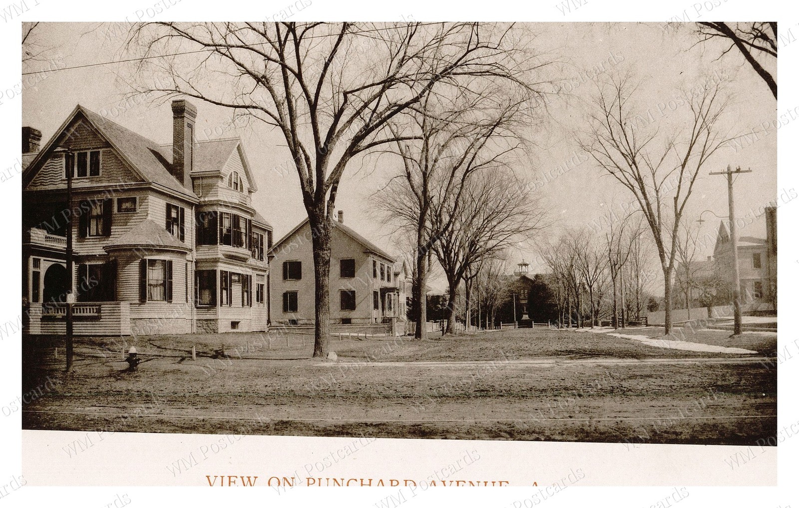 Andover Massachusetts 1893 Punchard Avenue Houses Trees Standard Postcard
