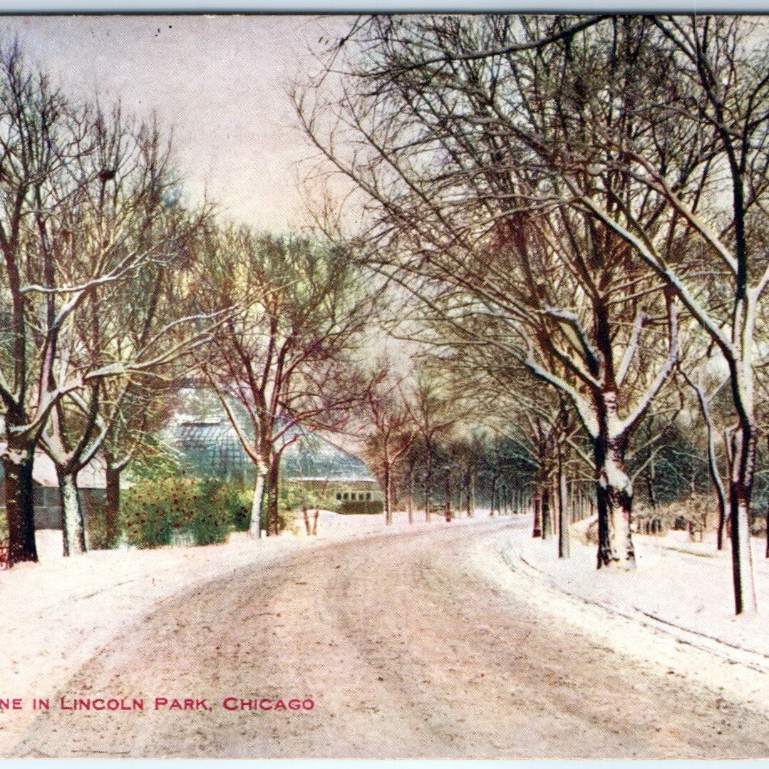 c1900s Chicago, IL Lincoln Park Winter Scene Conservatory Road Litho Postcard