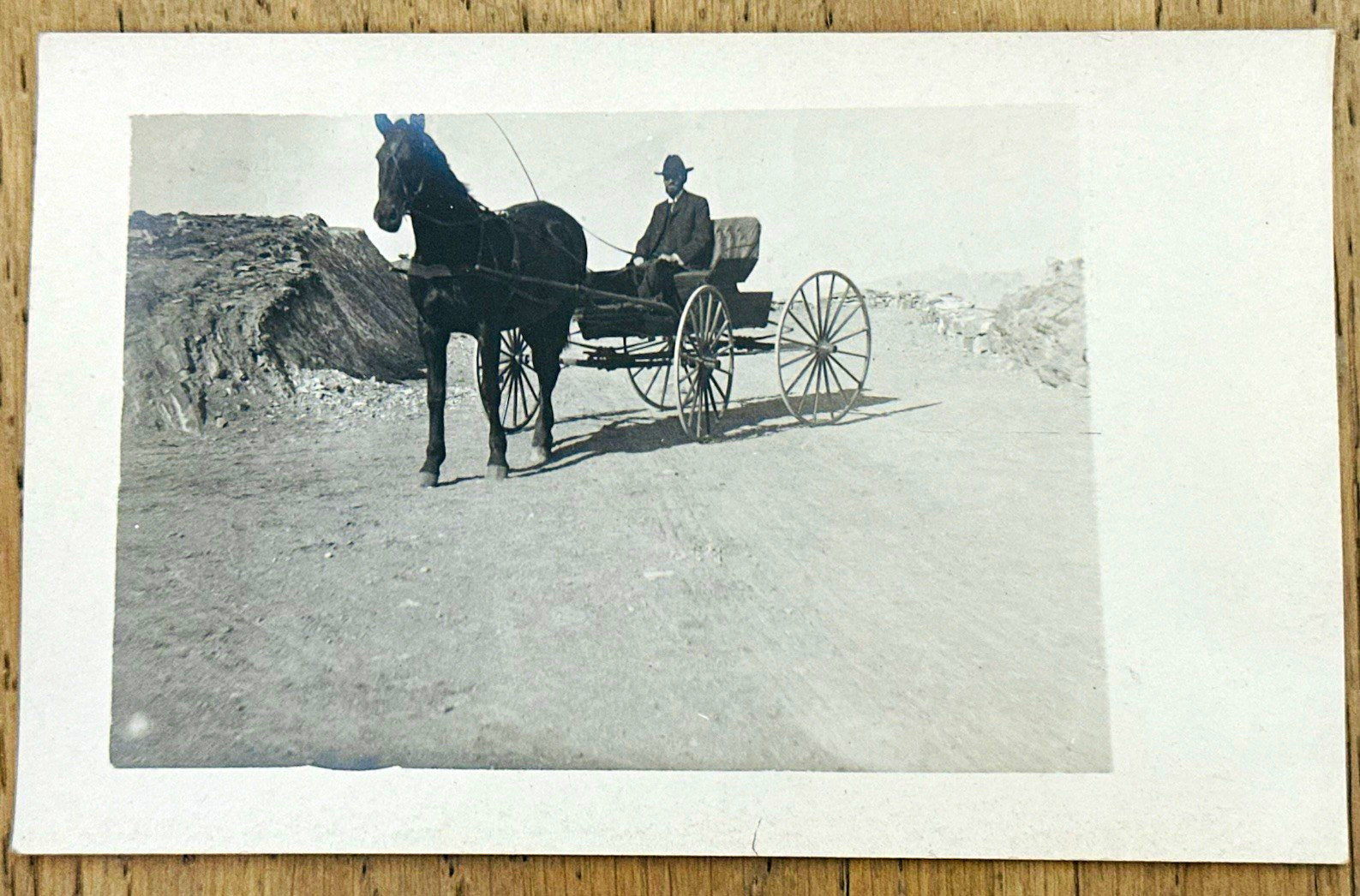 Vintage c1907 Horse Buggy RPPC Man Driving Dirt Road Skyline Drive Canon City