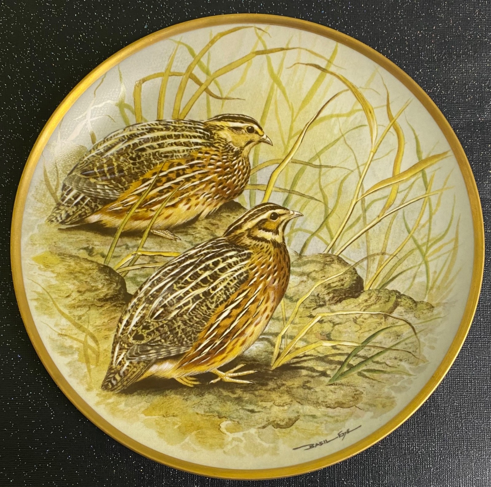 Vintage Game Birds COMMON QUAIL Bird Franklin Porcelain Plate Limoges BASIL EDE