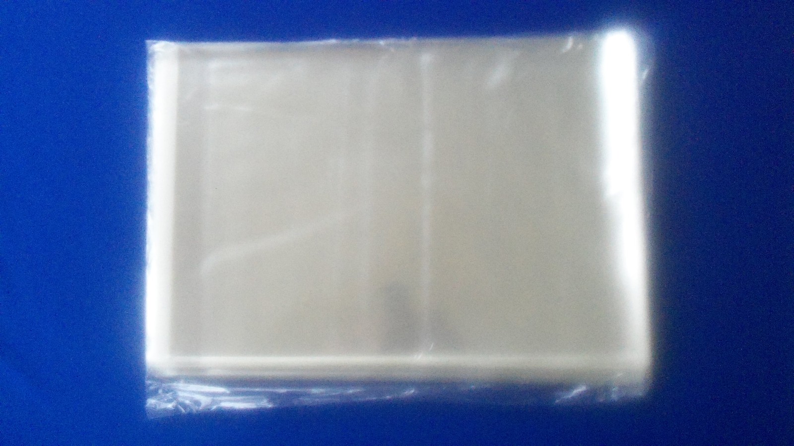 10 Sleeves Life Large Magazine Plastic Protector Storage Bags 