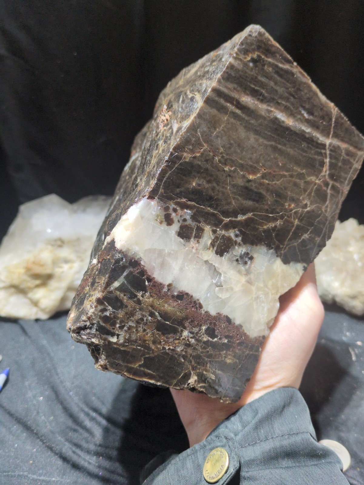 Petrified Wood w/ Chunks of Crystallization Specimen (8lbs 13oz)