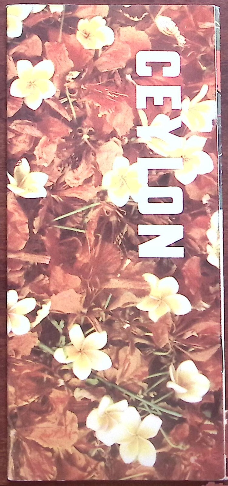 1950s CEYLON DISCOVER CEYLON DREAM ISLE OF THE TROPICS TRAVEL BROCHURE Z6690