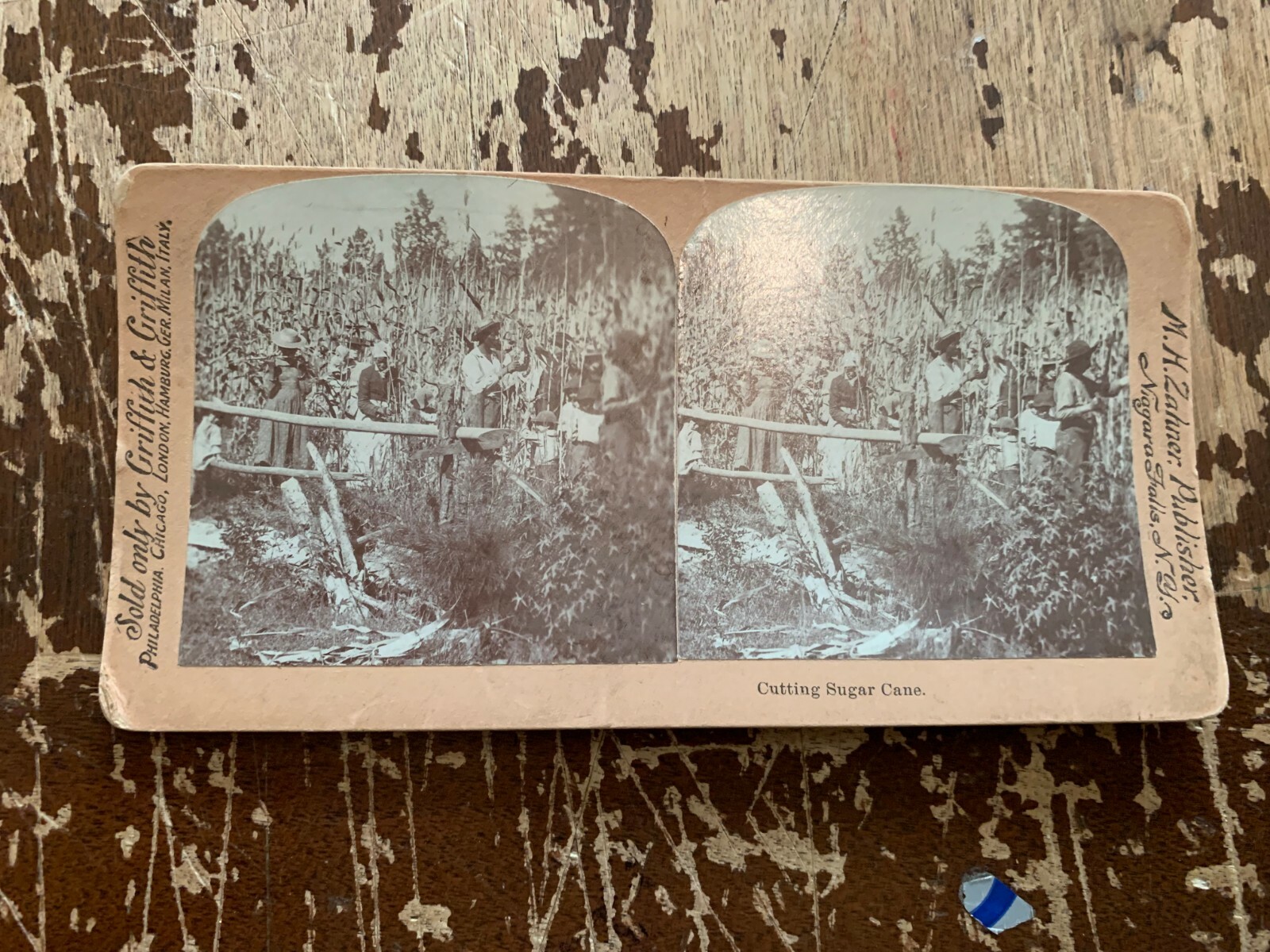 c.1910 Cutting Sugar Cane Black Americana Griffith Stereoview