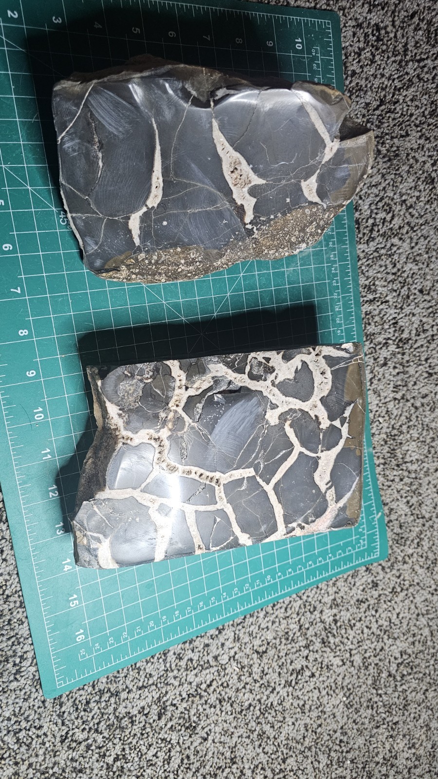 Two large polished pieces of septarian