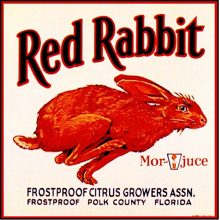 Frostproof Florida Red Rabbit Bunny Orange Citrus Fruit Crate Label Art Print
