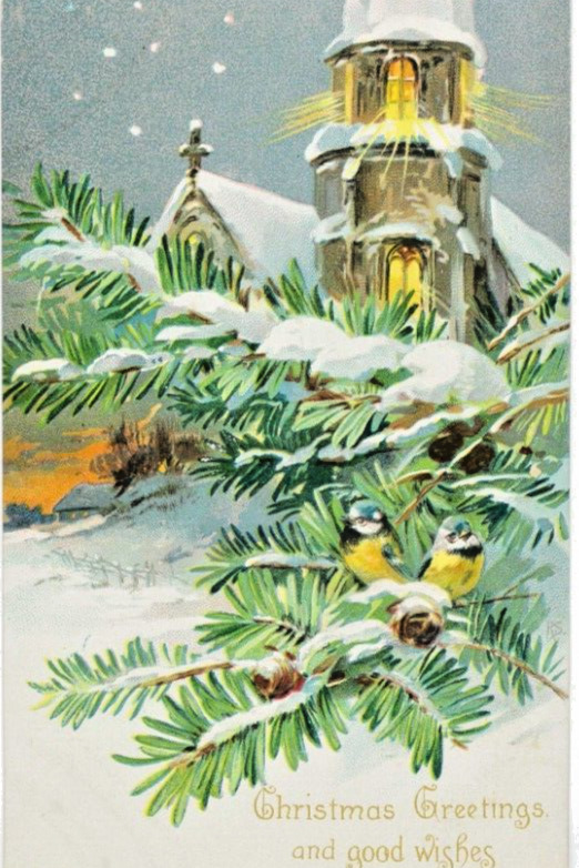 1906 TUCKS Merry Christmas Holiday Embossed Antique Vintage Postcard Church Pine
