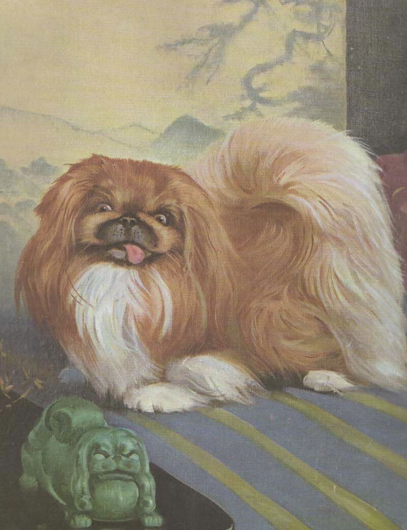 Pekingese - Vintage Dog Art Print - 1970 W. Dennis Pekingese - Vintage Dog Art Print - 1970 W. Dennis