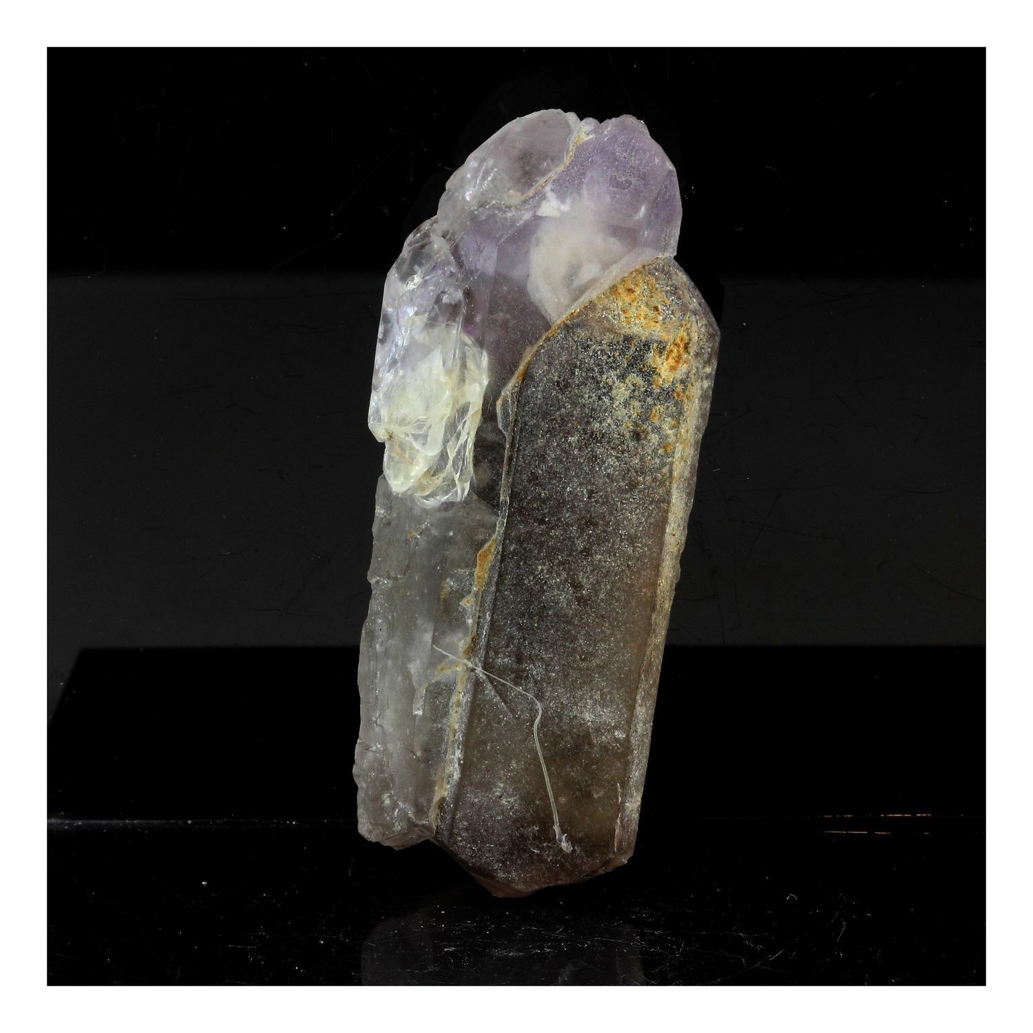Quartz Sceptre Tinted Amethyst 186.0 Ct. Solid of / The Mont-Blanc, France