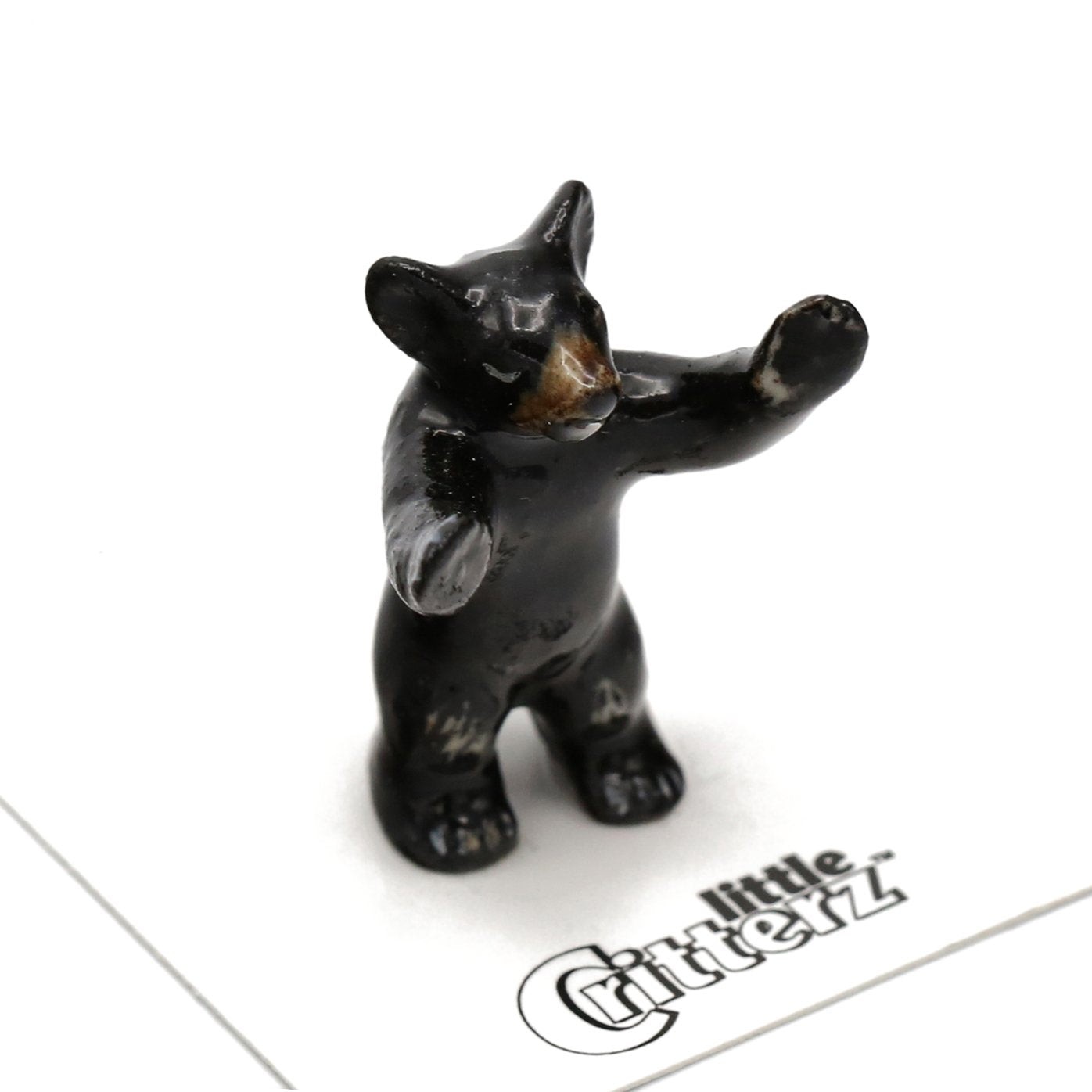 Little Critterz Bear Black Bear Cub \