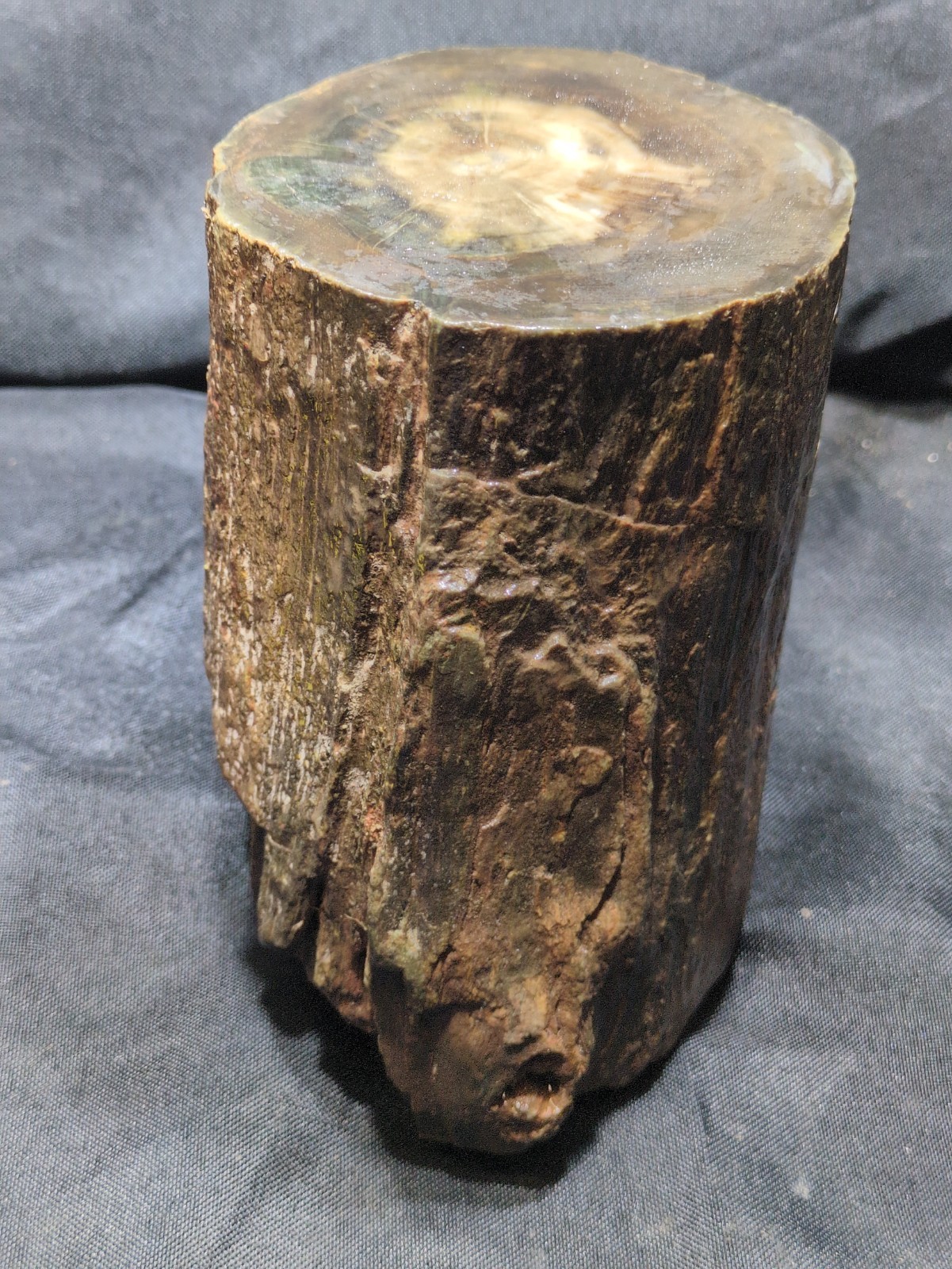Zimbabwe Wood  Log w/ Green Log Specimen ( 4Lb 13.8 Oz)