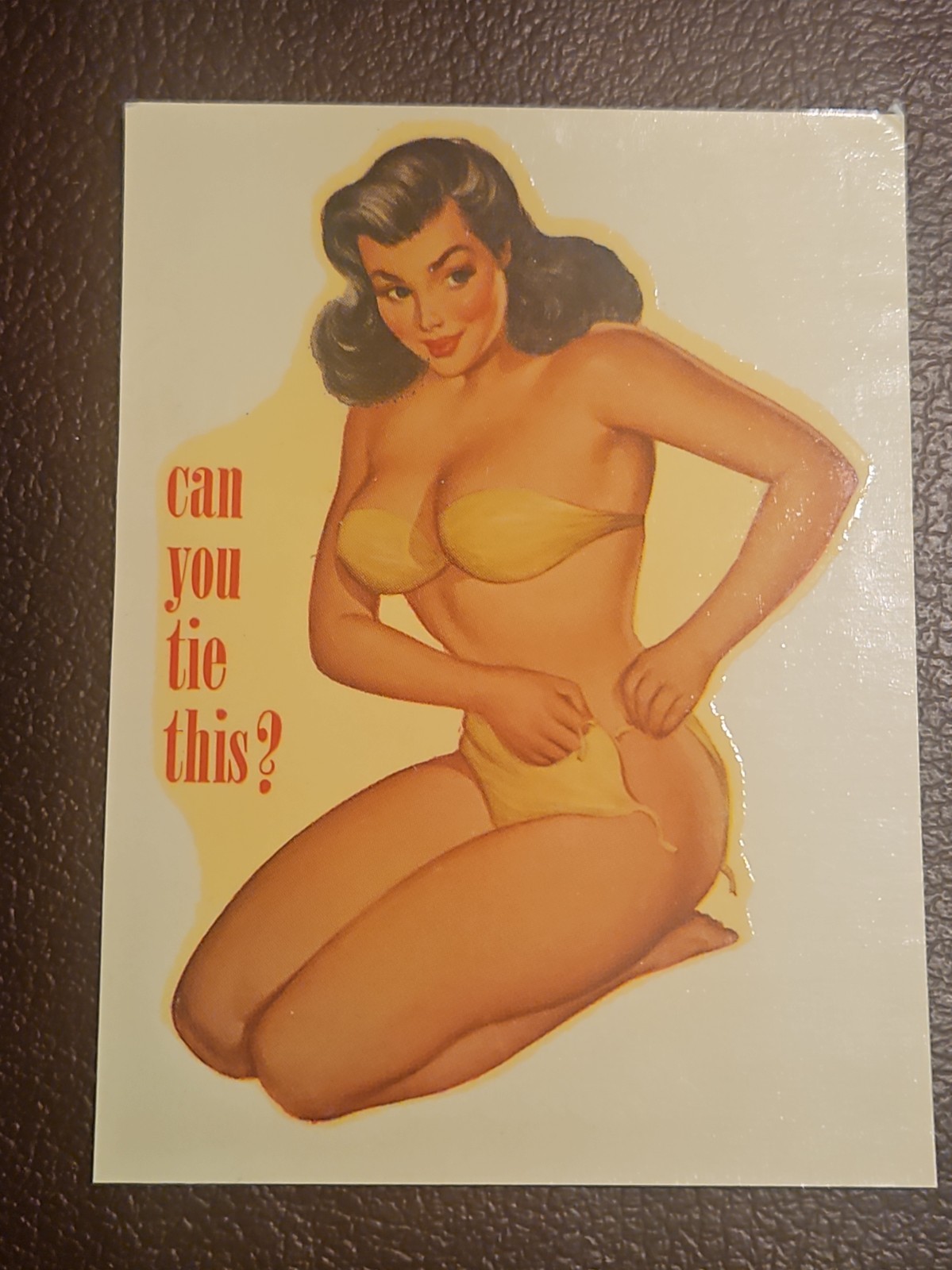 VINTAGE ORIGINAL SOUVENIR PINUP WATER DECAL ART 3\ VINTAGE ORIGINAL SOUVENIR PINUP WATER DECAL ART 3\
