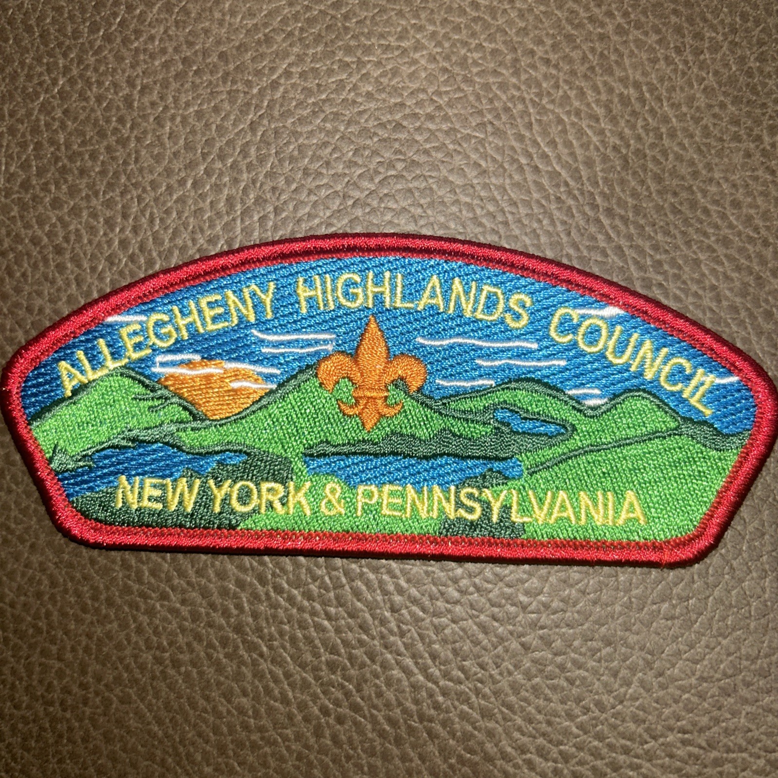 MINT CSP Allegheny Highlands Council New York Pennsylvania  S-141 Brown FDL