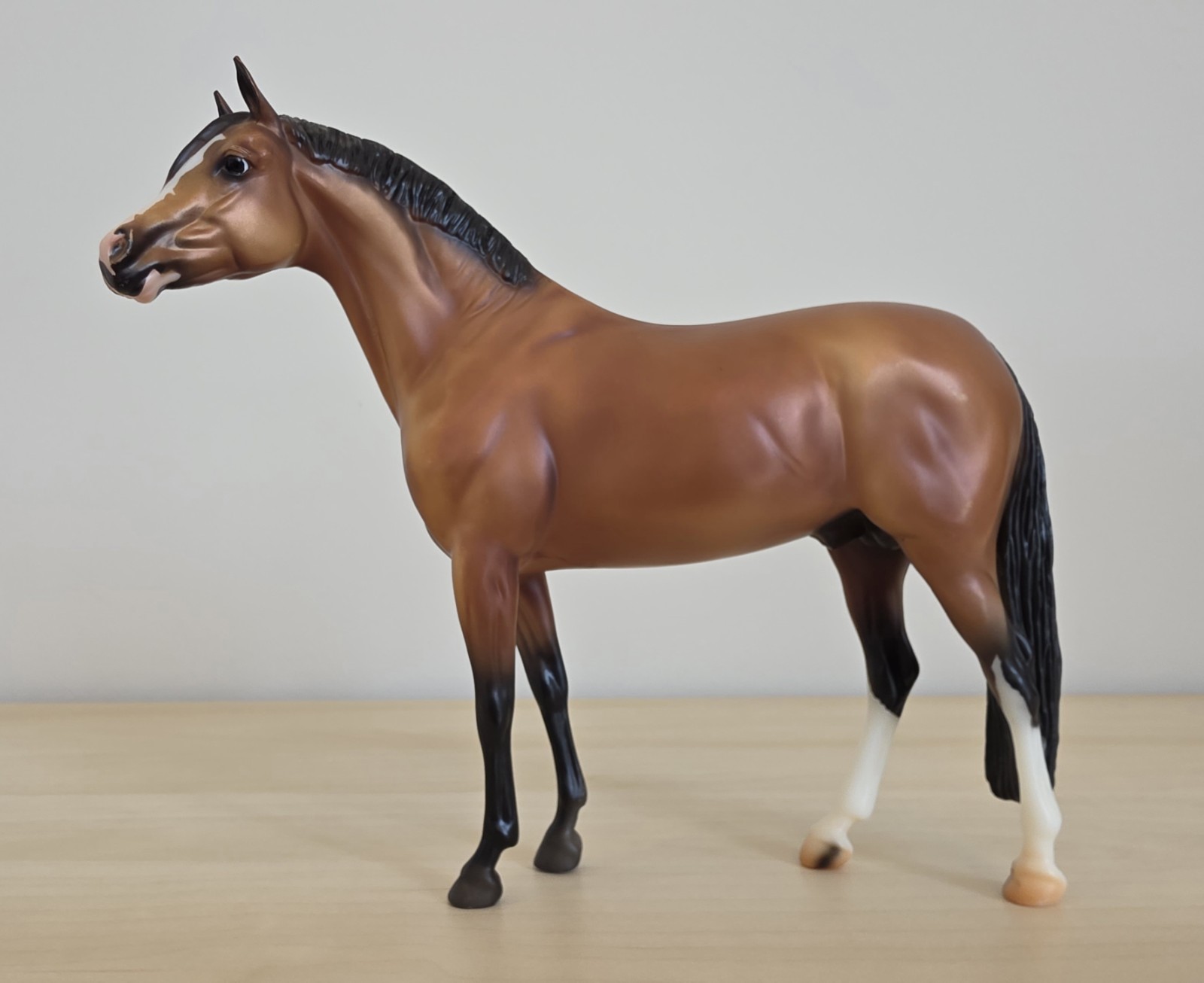 Breyer Traditional Model Horse NIKOLAS #711506 German Riding Pony BreyerFest SR Breyer Traditional Model Horse NIKOLAS #711506 German Riding Pony BreyerFest SR