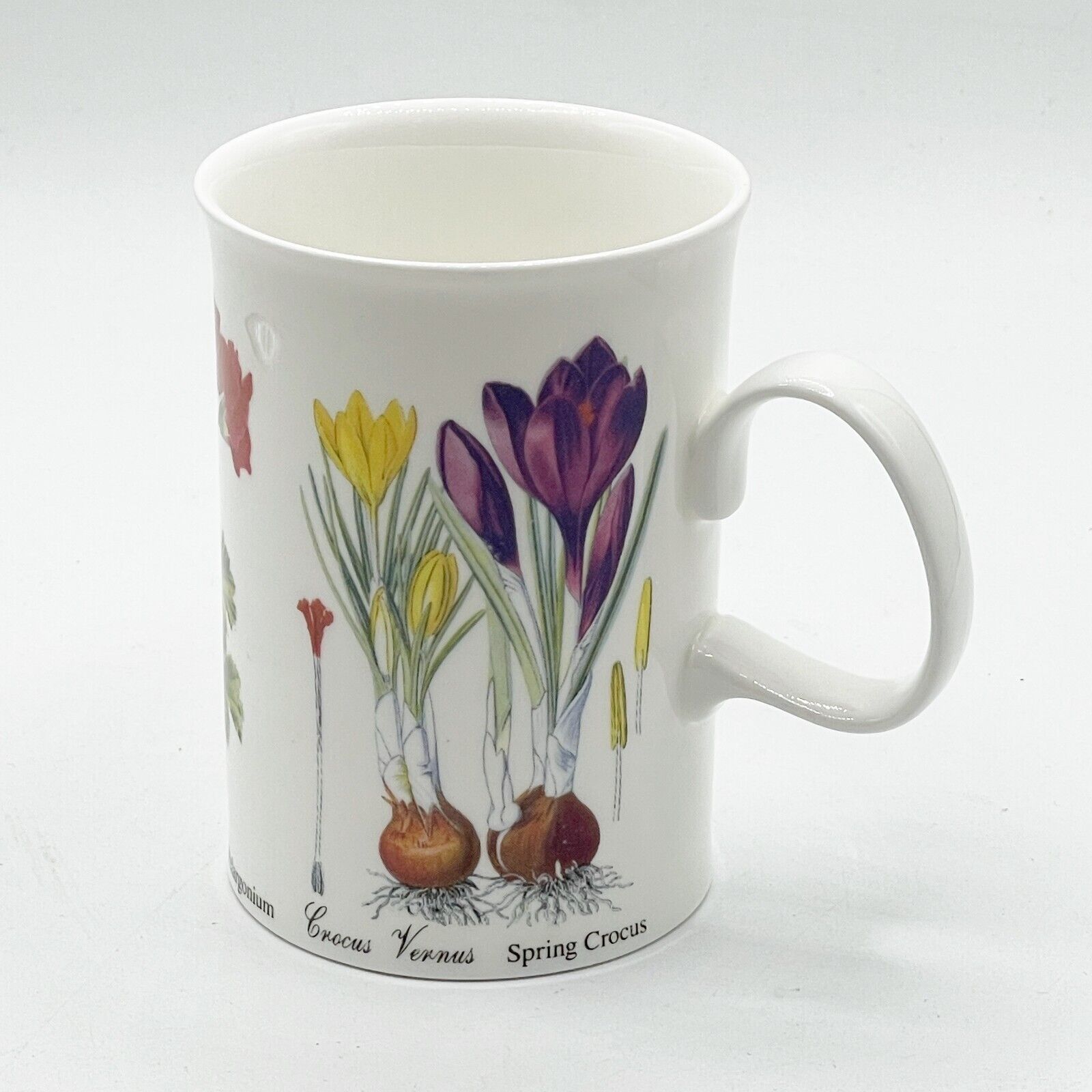 Dunoon Botanical Primrose Pelargonium Crocus Coffee Mug Bone China Made England