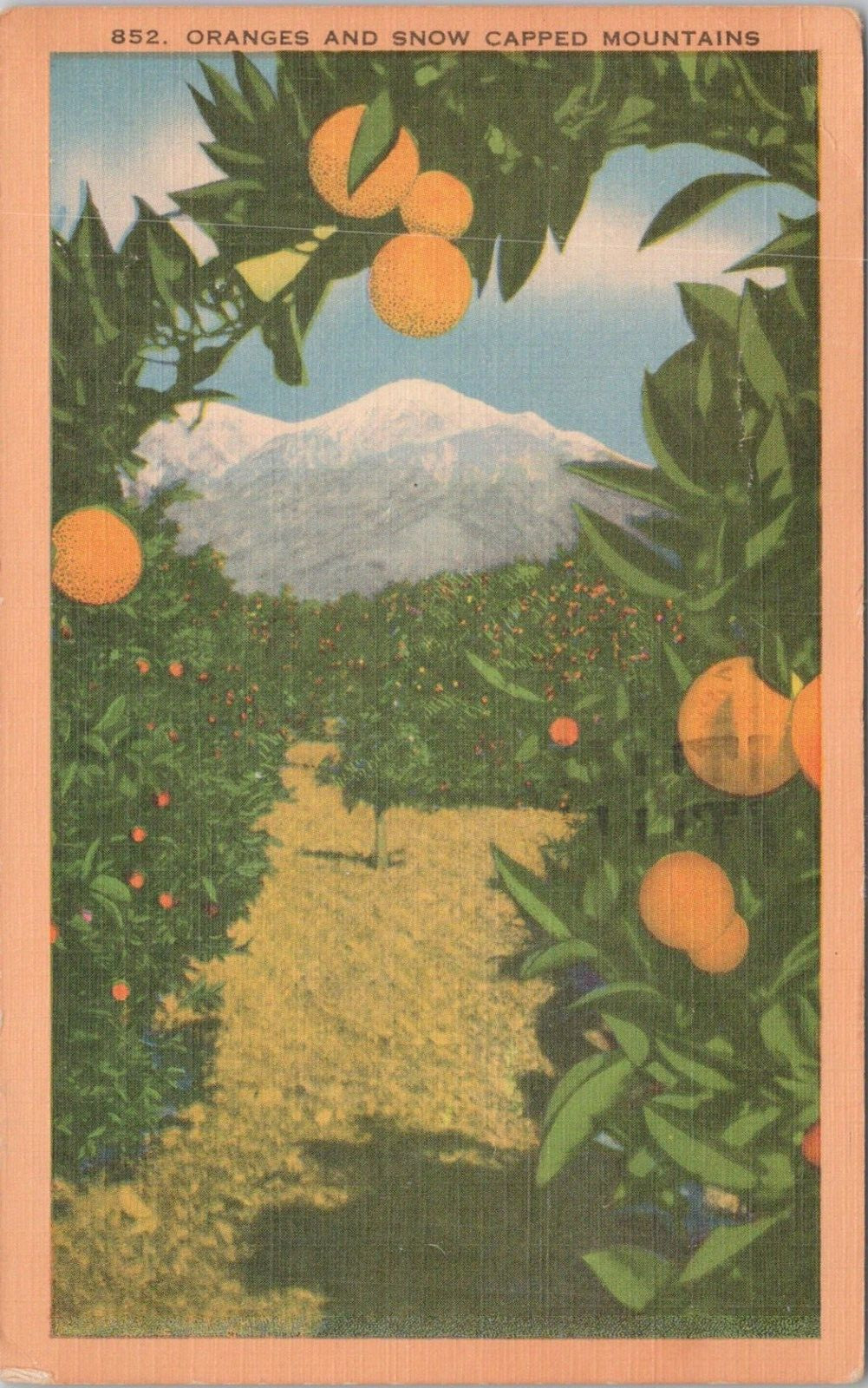 Linen PC * \