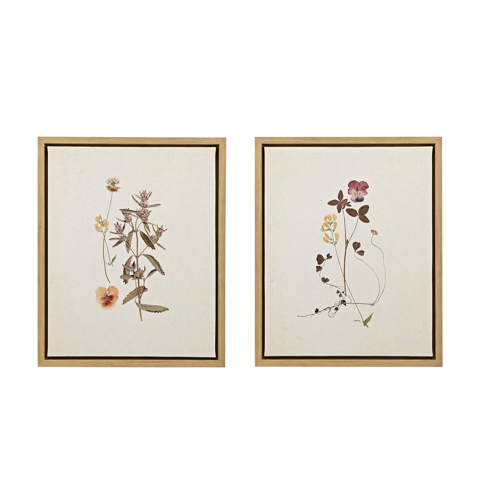Madison Park French Herbarium Wall Art - Linen Canvas 17.84\