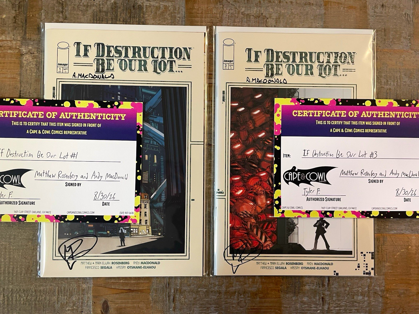 **2x Signed** If Destruction Be Our Lot...#1 & #3 Rosenberg and MacDonald (x2)NM