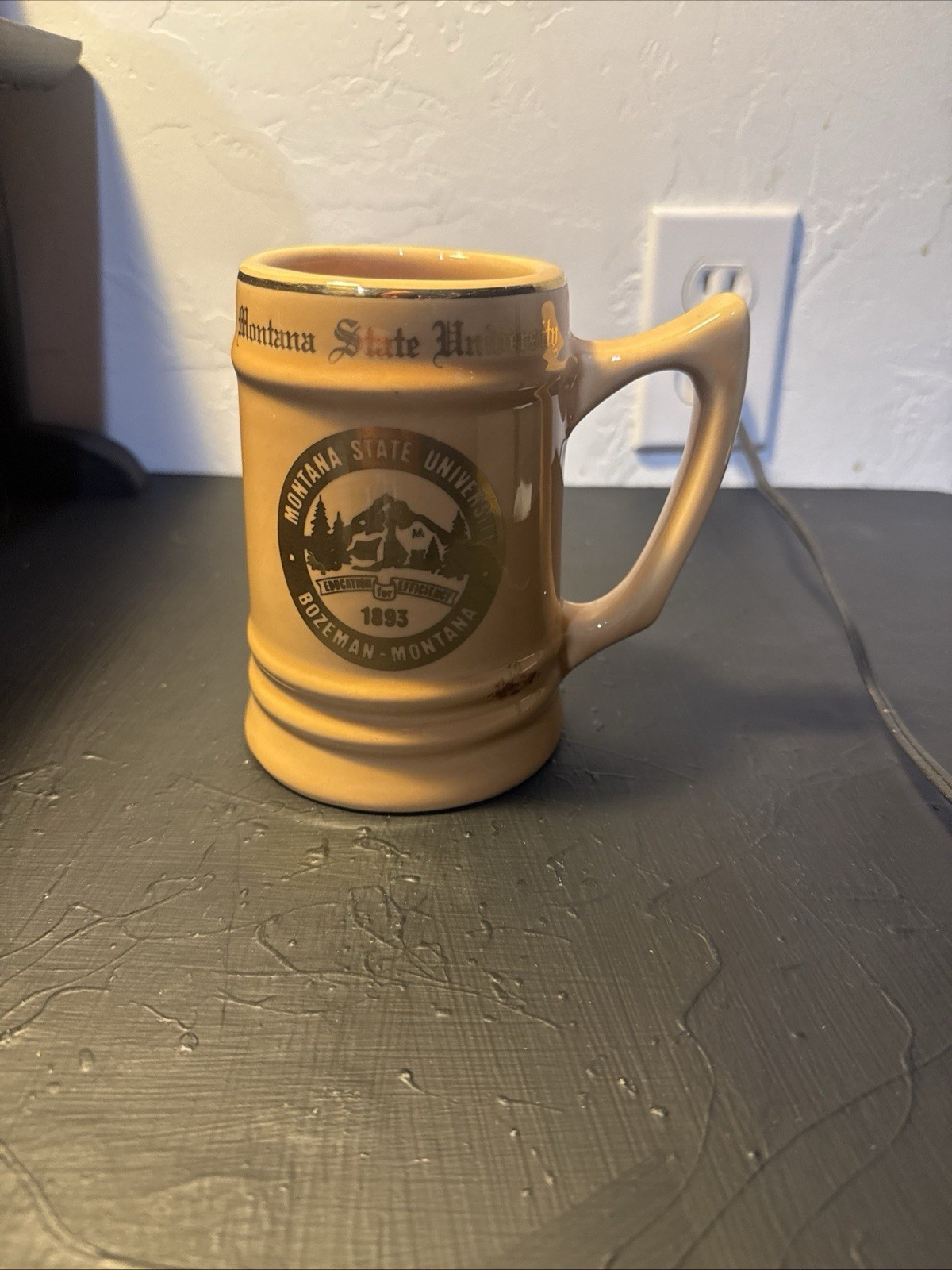 Vintage Ceramic Mug, Montana State University