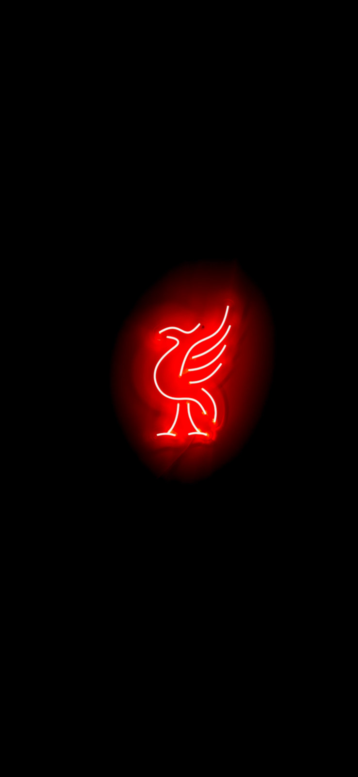 LFC Neon Sports Sign - Liverpool Football (soccer)  Club logo in LED Neon 20x30