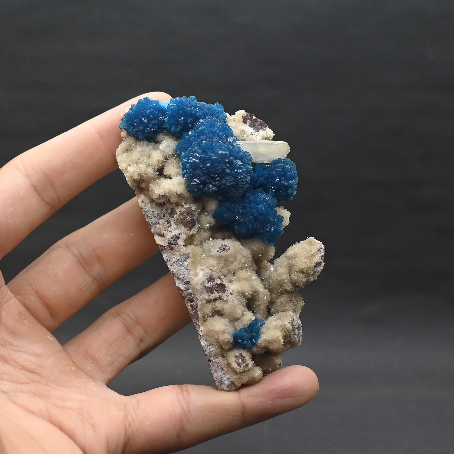 Big rosette of Cavansite on matrix  (non precious natural stone) # 4687