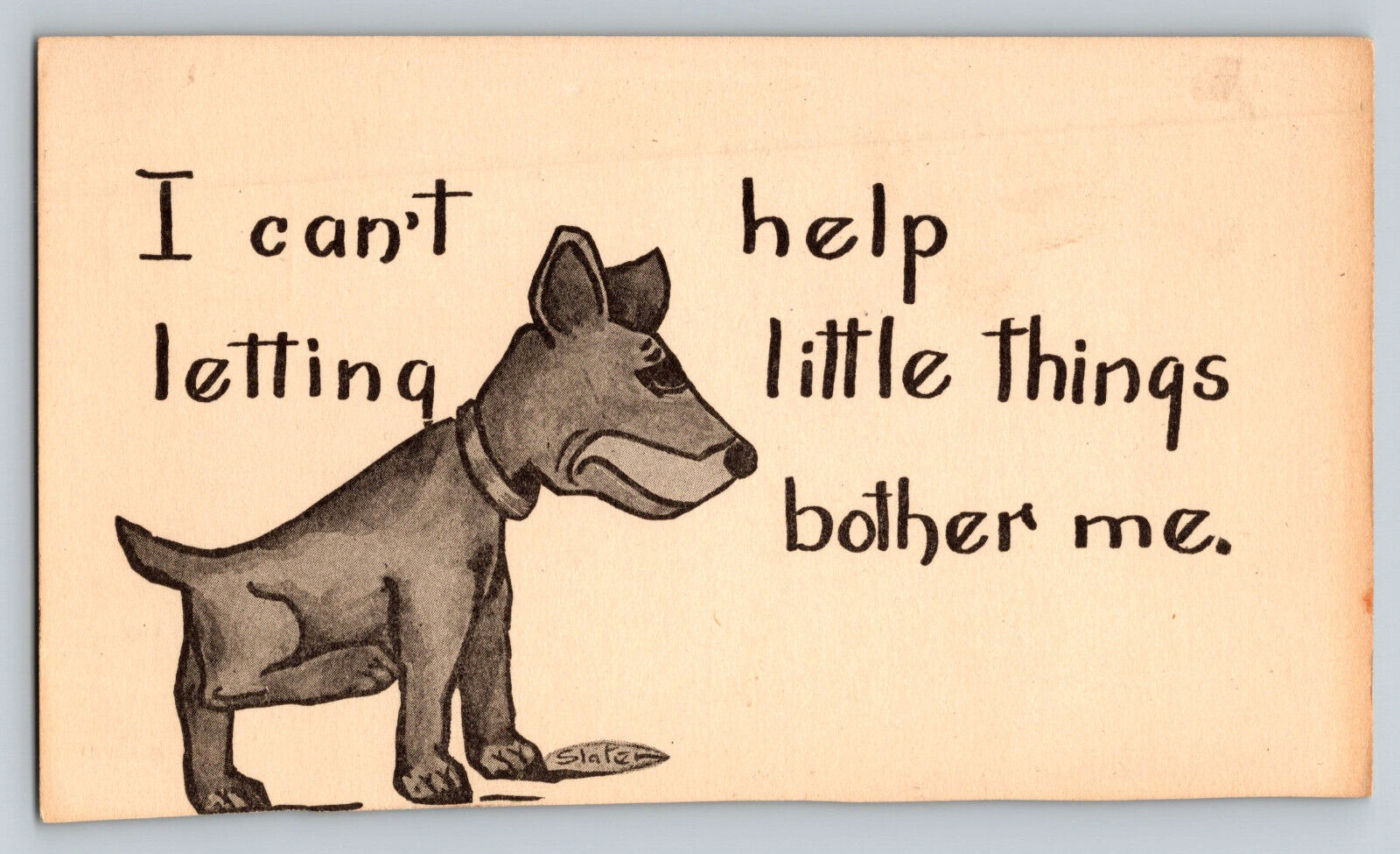 Humor I Can\'t Help Letting Little Things Bother Me Funny Postcard Dog Unposted