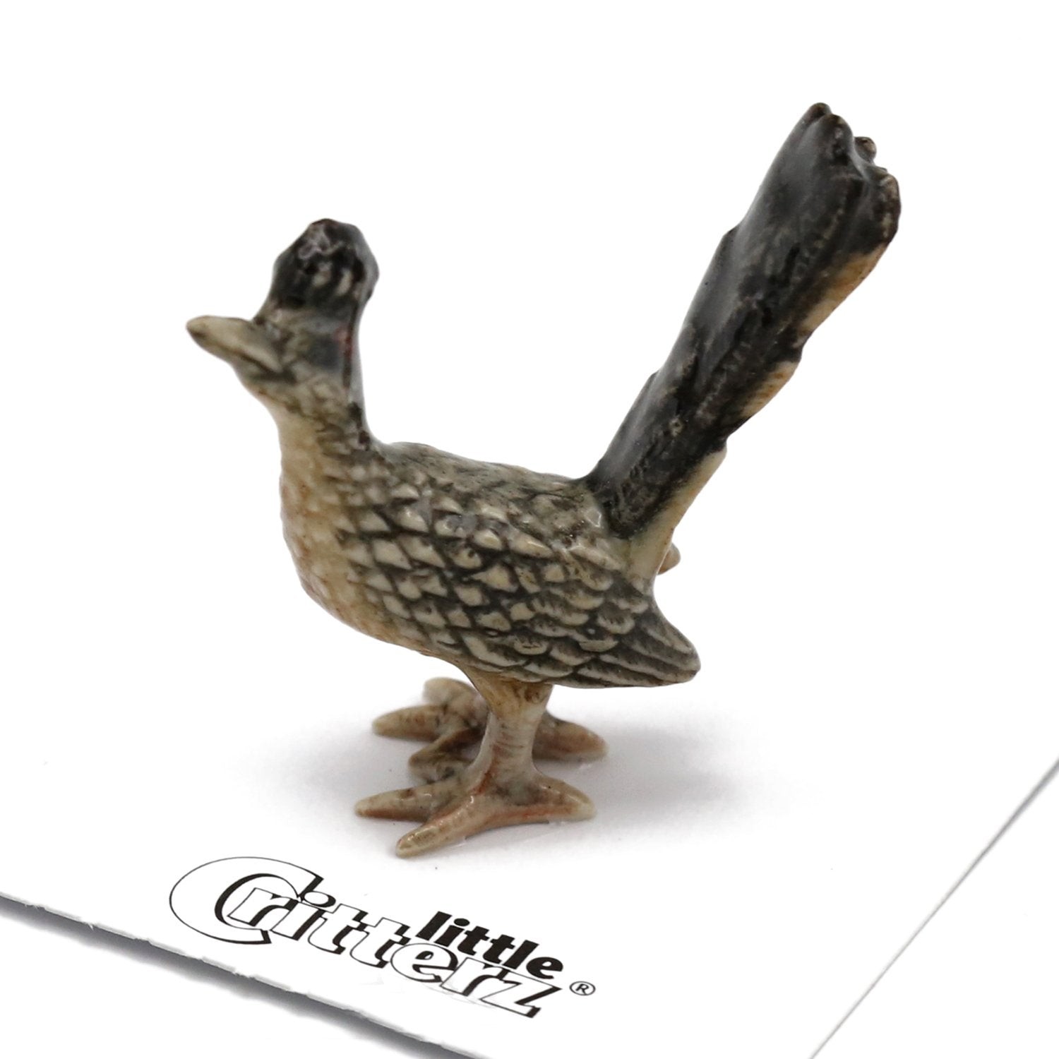 Little Critterz - Roadrunner \
