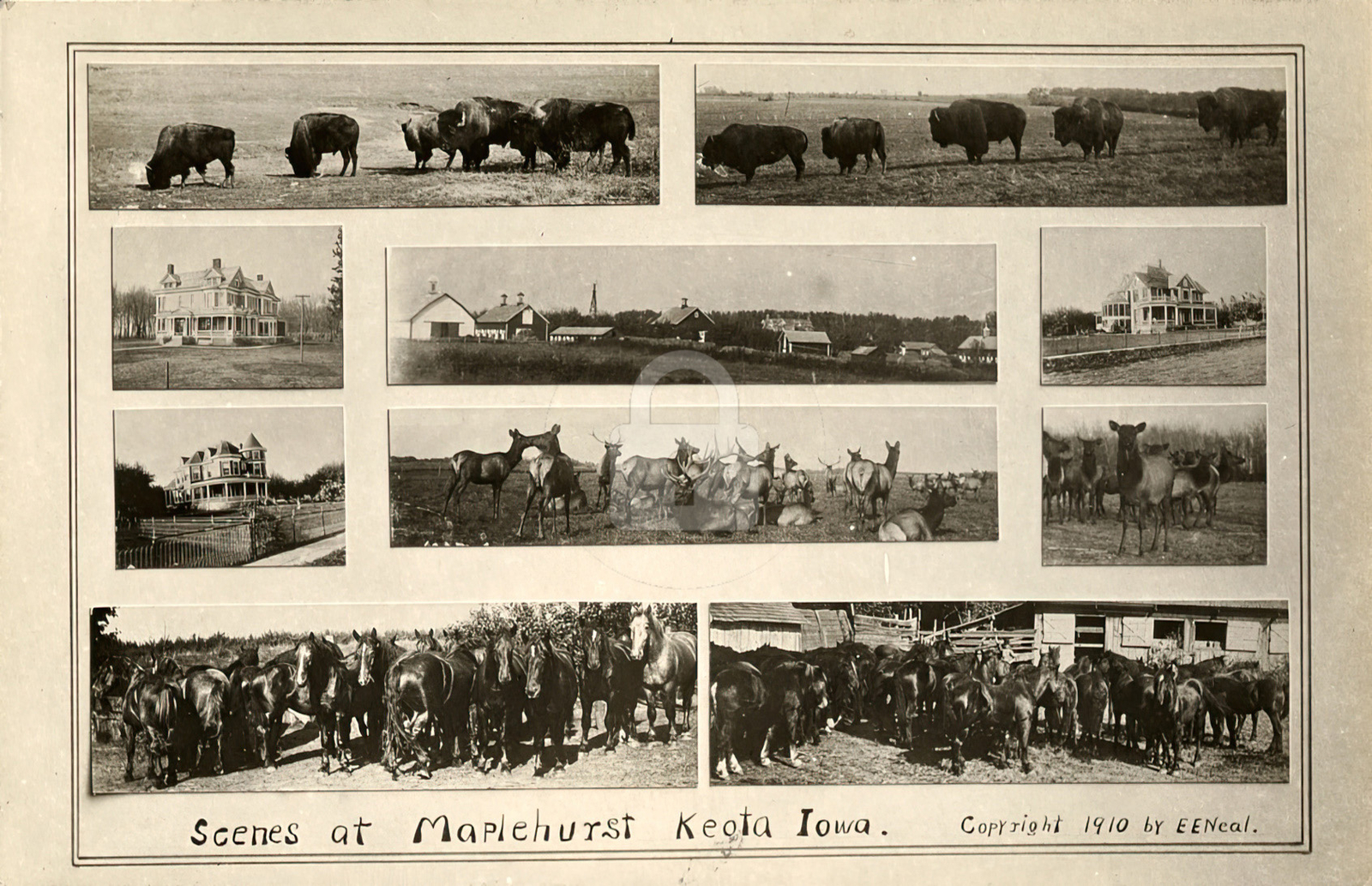 Scenes at Maplehurst Keota IA Iowa 1910 RPPC Photo Postcard COPY