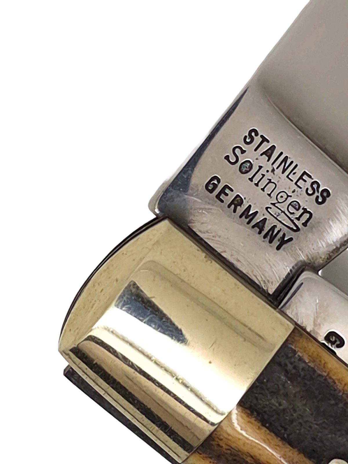 Bulldog Brand Stag Trapper Solingen Stainless Used
