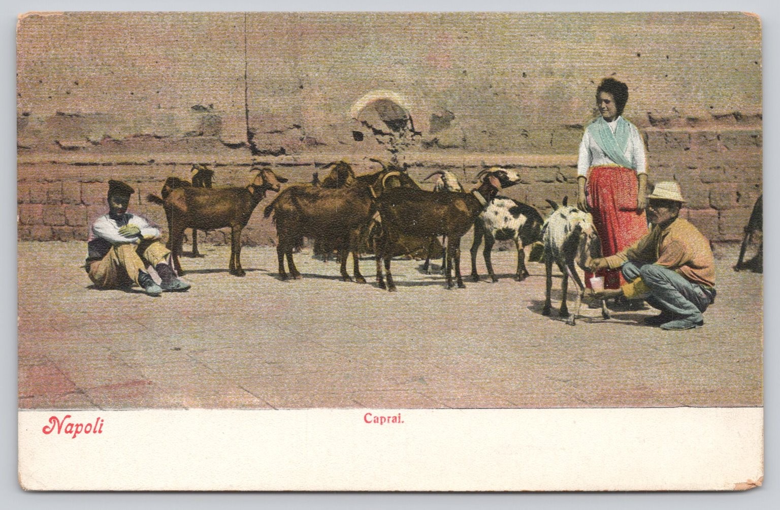 Vintage Napoli Italy Goats Milk Seller Street Scene Postcard E. Ragozino