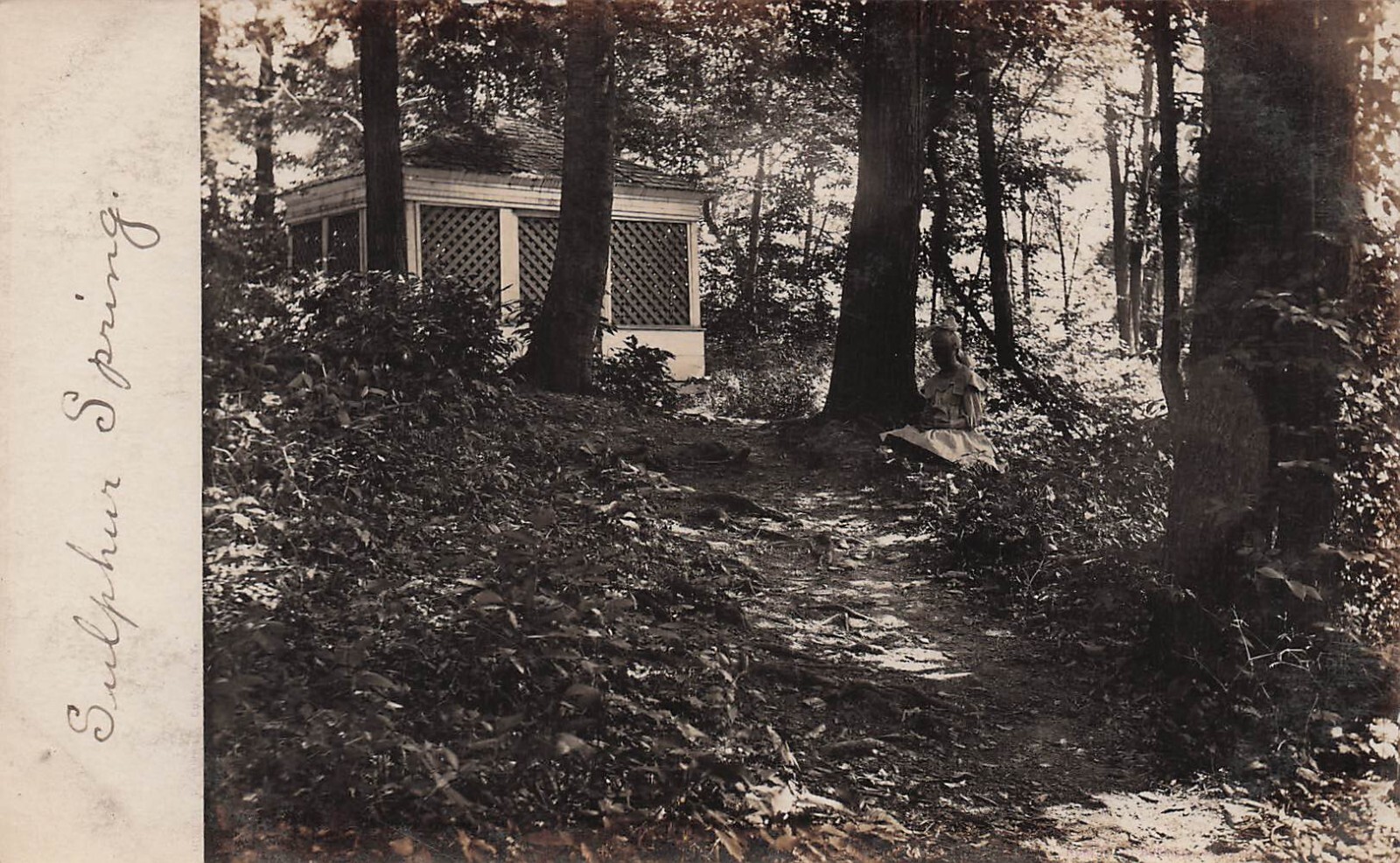 RPPC Letchworth Park sulphur springs New York Portage Photo Postcard H28