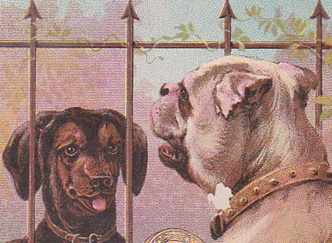 1880's J. & P. COATS THREAD TRADE CARD, TWO DOGS WITH A FENCE BETWEEN THEM  K931