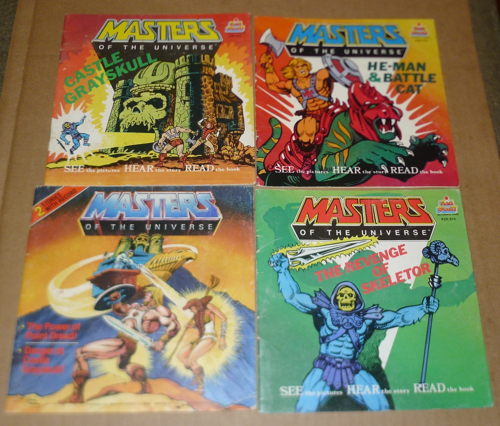 HE MAN Masters of the Universe LOT book SKELETOR grayskull 80\'S battle cat MOTU