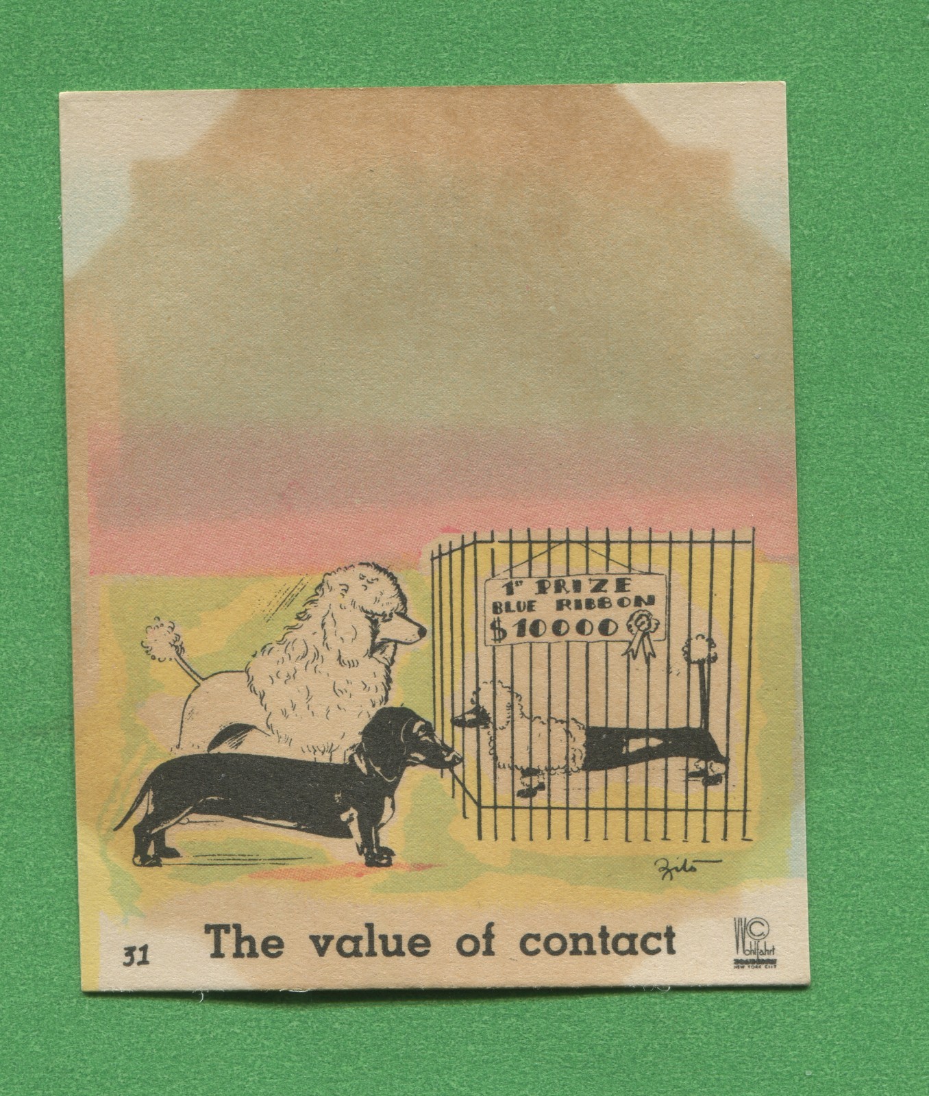 1937 Dogs by Zito No 31 Poodle Dachshund Dog Show Vintage Trading Card