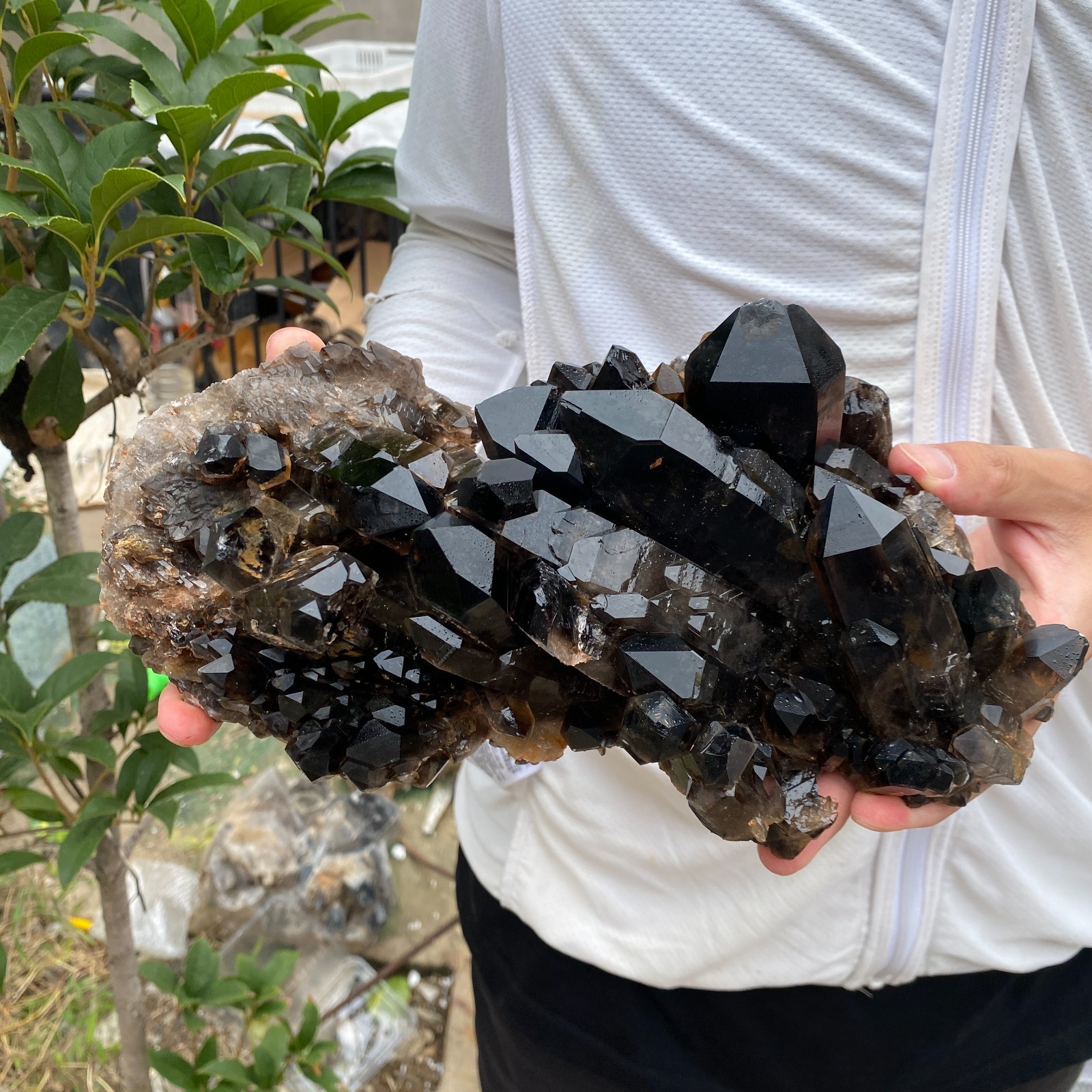 6.1lb Natural smoky black Quartz Crystal Cluster Rough Specimen Healing Stone