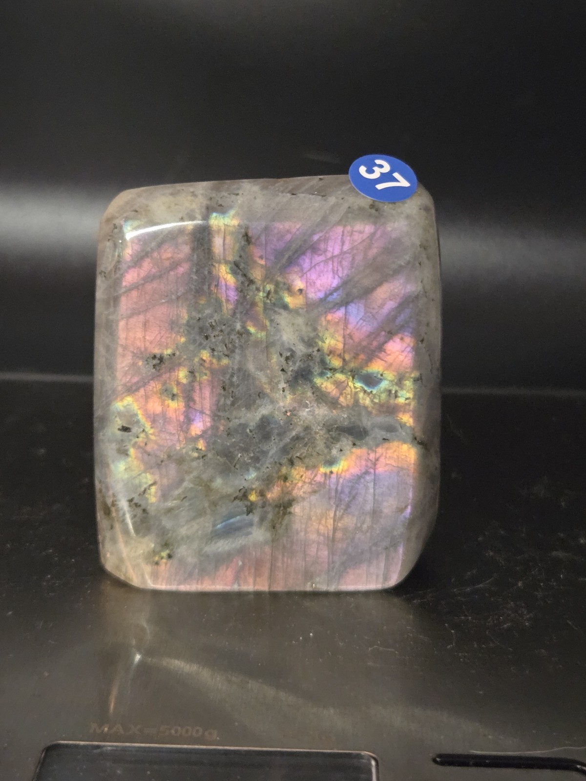 gorgeous sunset flash labradorite polished freeform display 222g b37