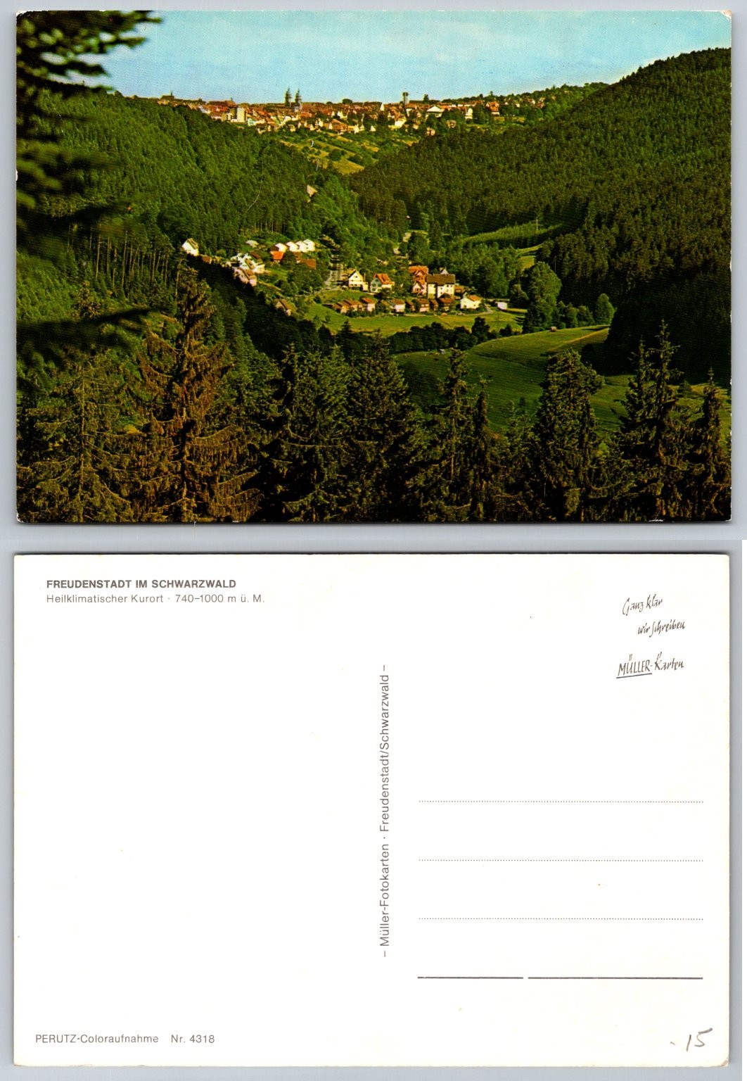 Freudenstadt Black Forest Germany Vintage Postcard Panoramic View PERUTZ