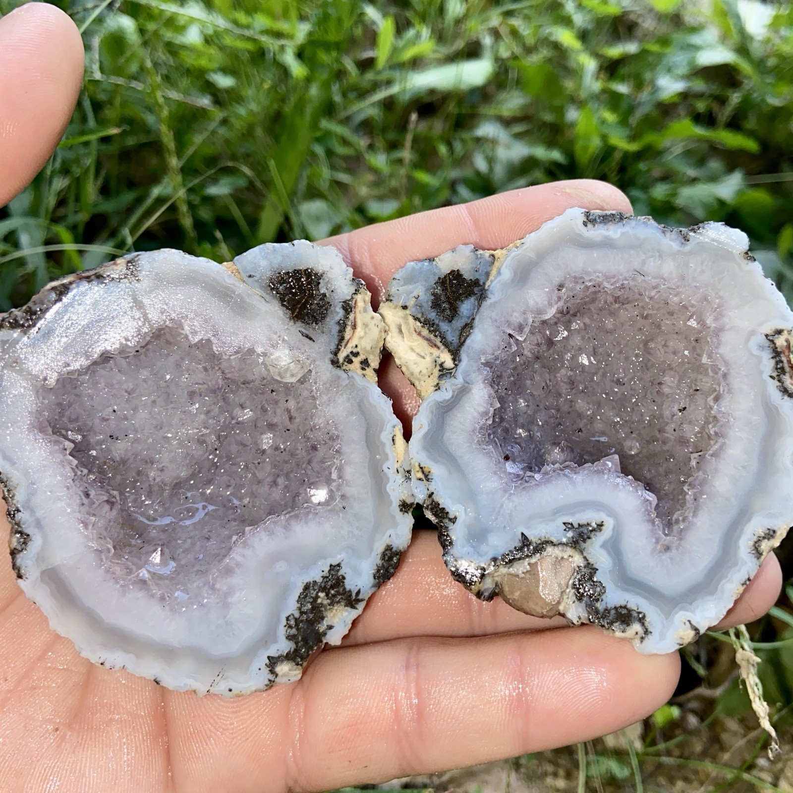 Choyas Mexican Coconut Geode Lapidary Rough Pair 8 Oz Choyas Mexican Coconut Geode Lapidary Rough Pair 8 Oz