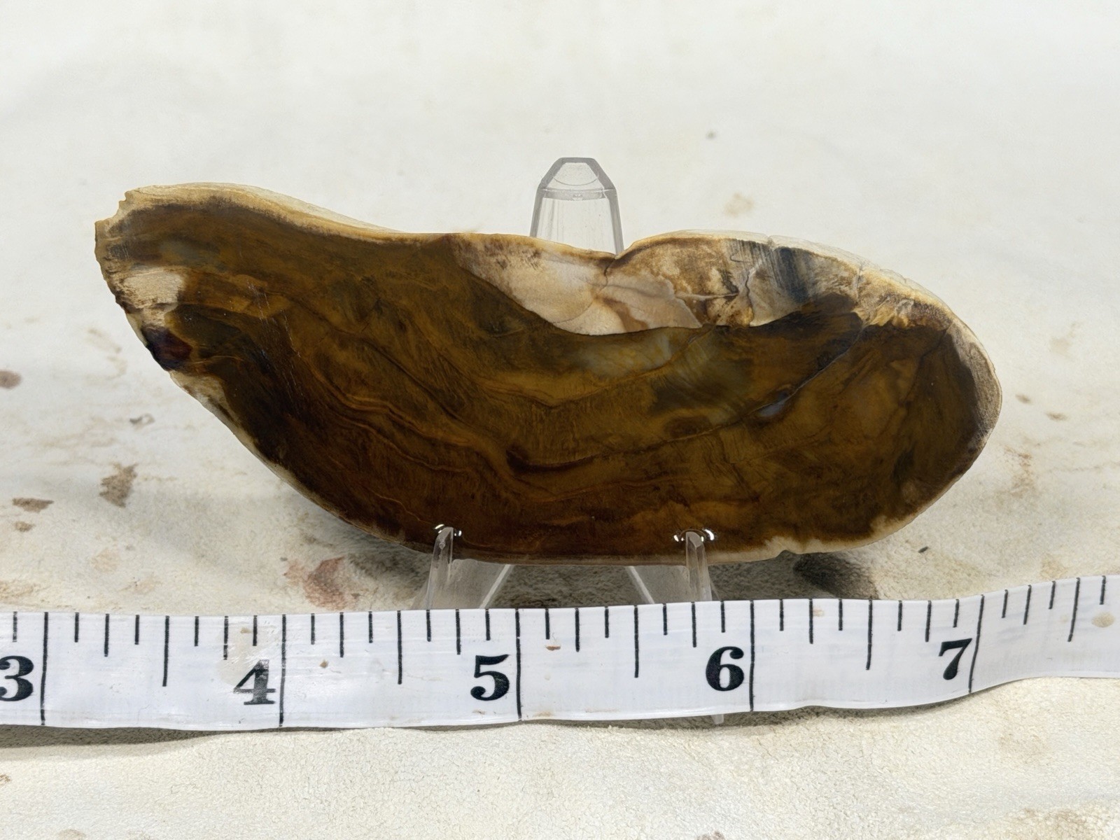 Beautiful Royal Sahara Jasper Slab, Lot#511