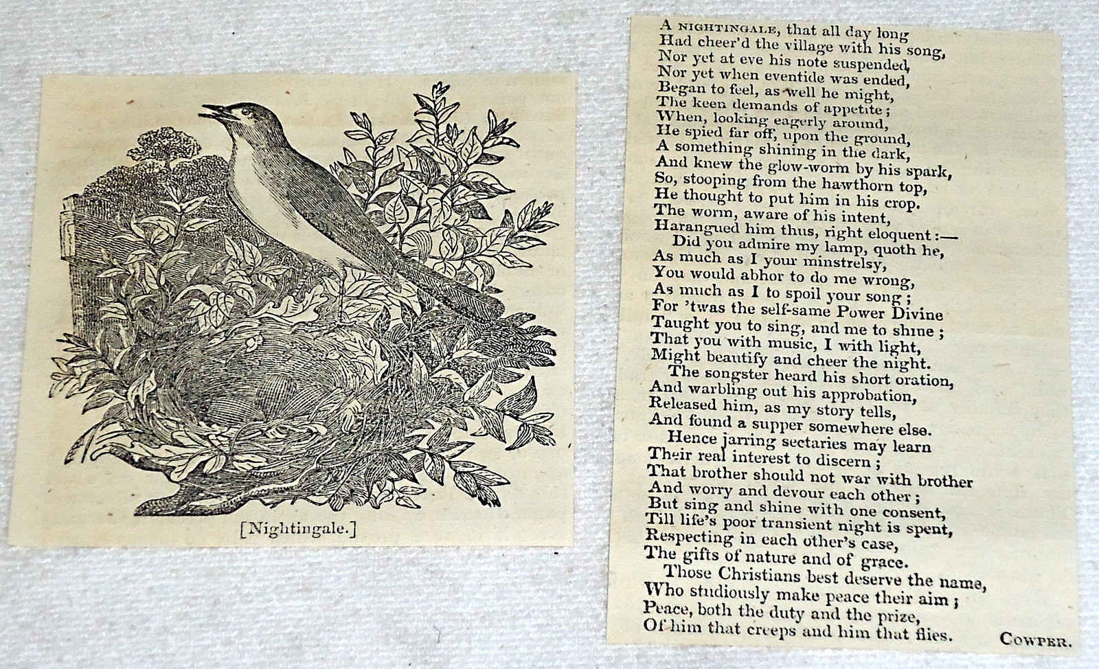 1832 small magazine engraving ~ THE NIGHTINGALE engraving and poem set 