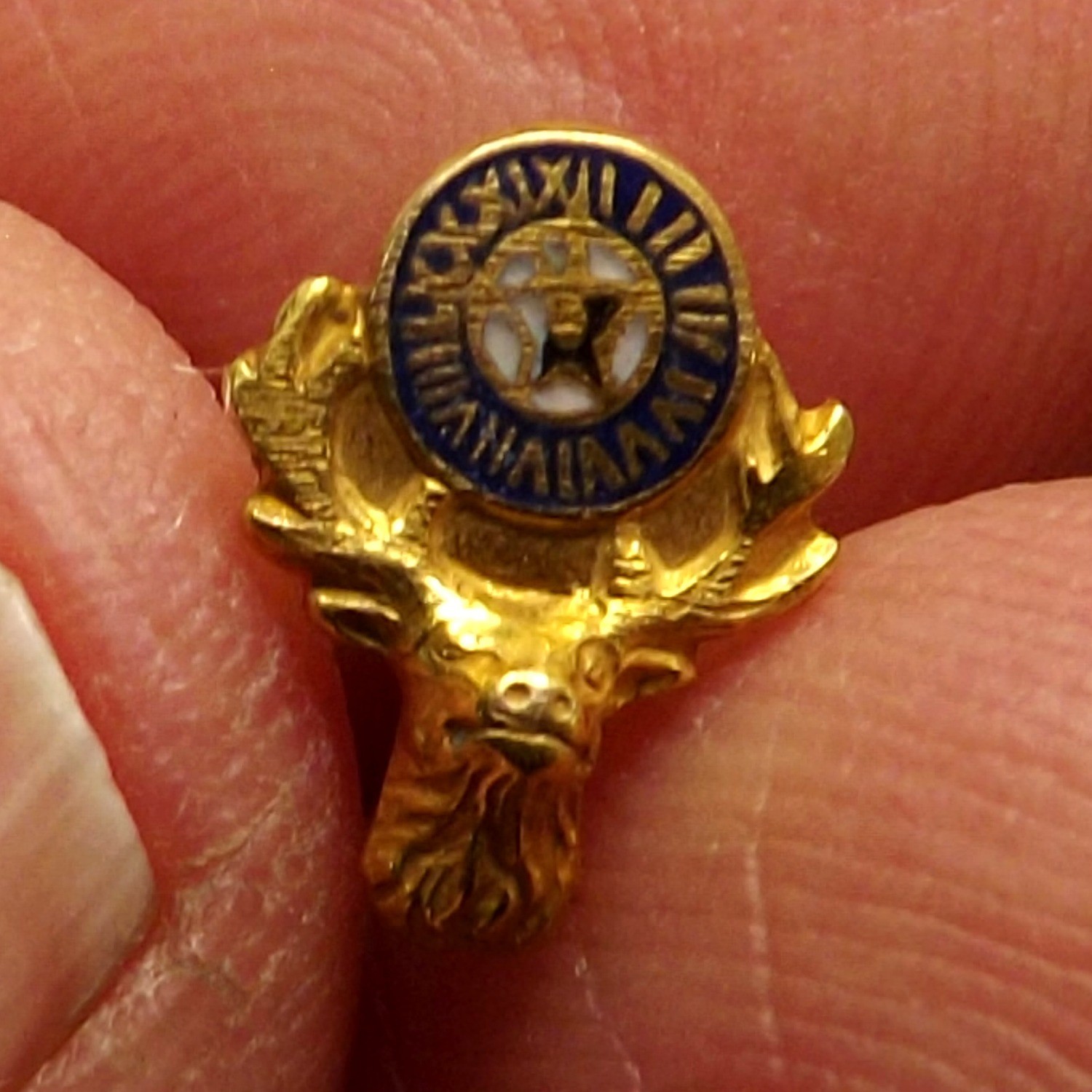Vintage BPOE Elks Lodge 10K Gold Pin Elk Head Enamel Clock Screw Back