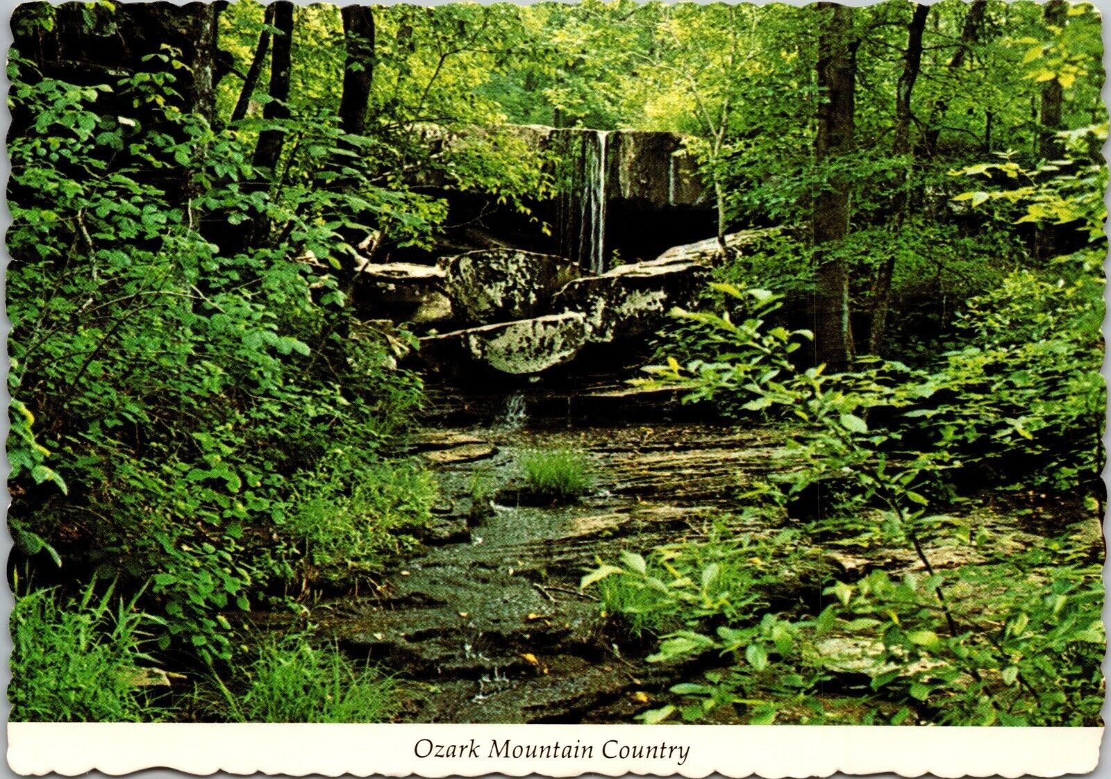 Ozark Mountain Country MO Postcard PC205