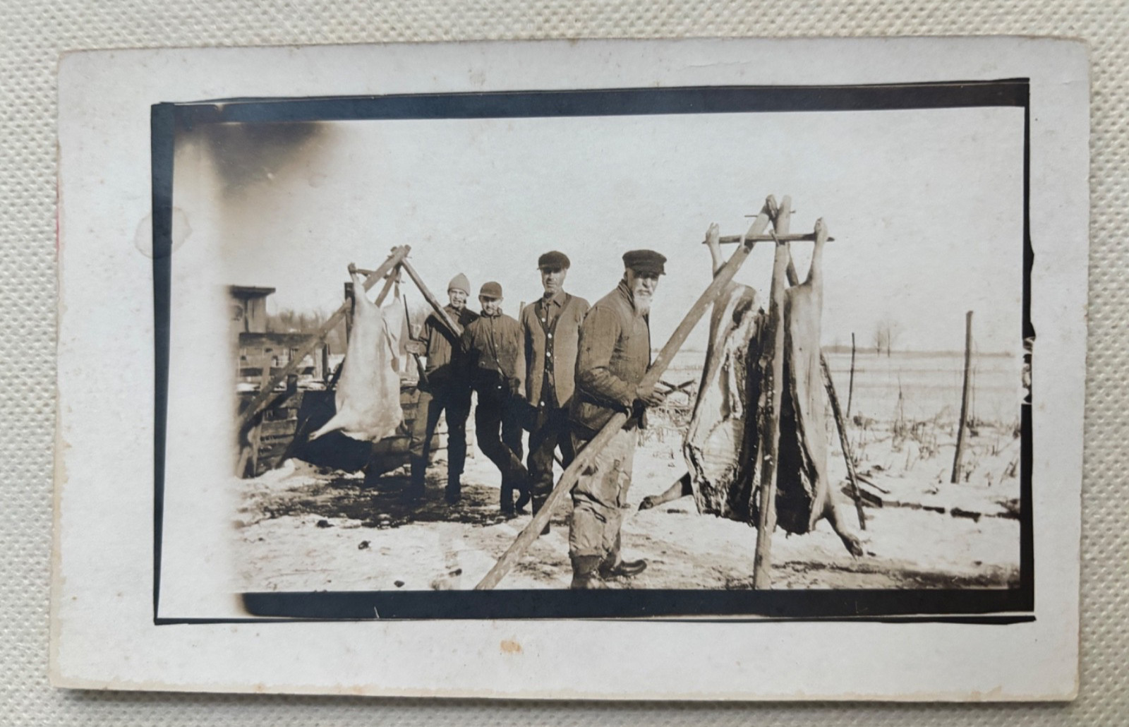 Hog Butchering RPPC Farm Men Pig Carcasses Butcher Day Antique Postcard AZO
