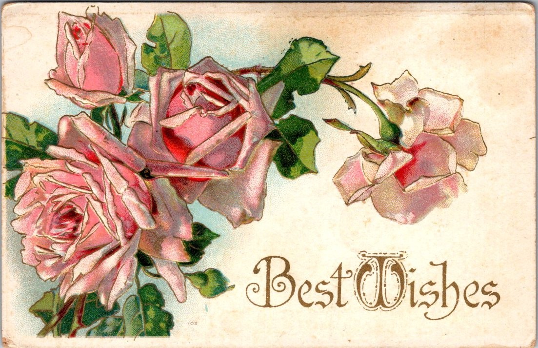 1907 Sullivan, Wisconsin Postmark, Best Wishes, Pink Roses, Embossed, 2243 1907 Sullivan, Wisconsin Postmark, Best Wishes, Pink Roses, Embossed, 2243