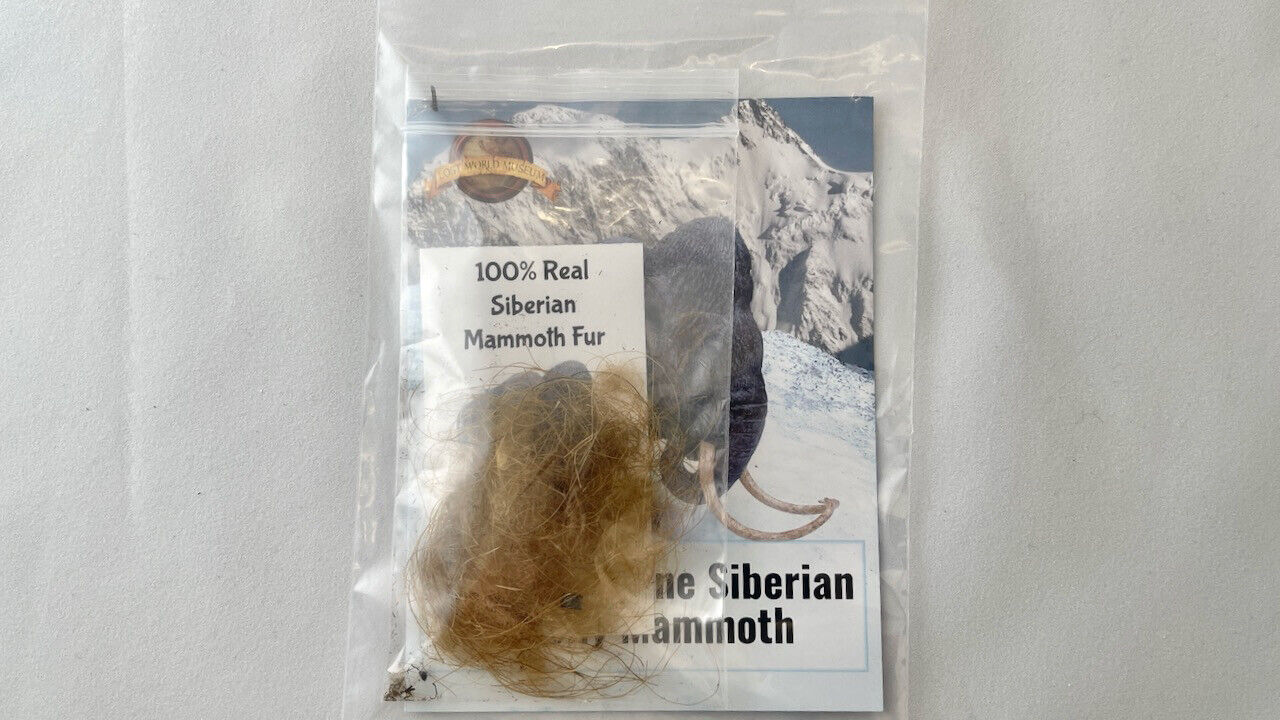 Authentic Siberian Mammoth Hair (Fur) .20, .50 and 1.0 gram