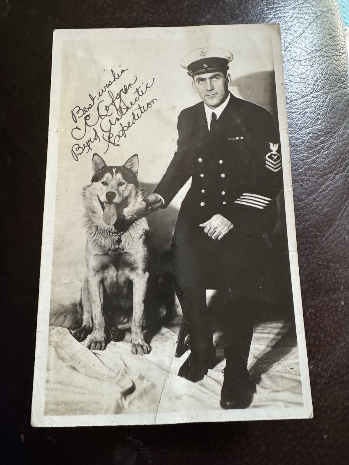 Vintage RPPC Photo Postcard C E Lofgren Byrd Husky Dog Antarctic Expedition