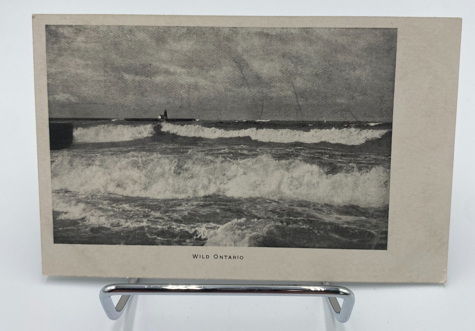 Vtg RPPC Wild Ontario Canada Postcard